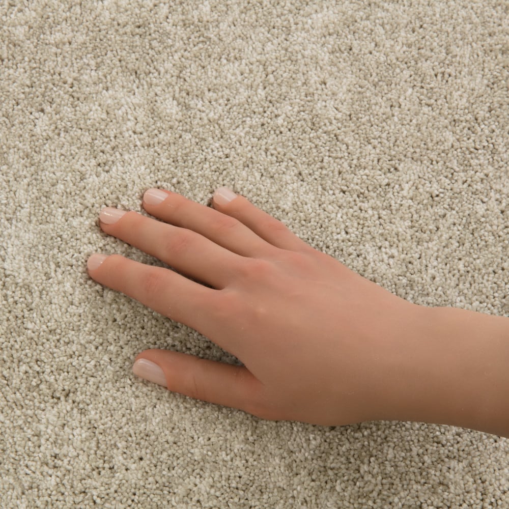 STAINMASTER PetProtect 7L974-109-SAMP Carpet-Samples - View #4