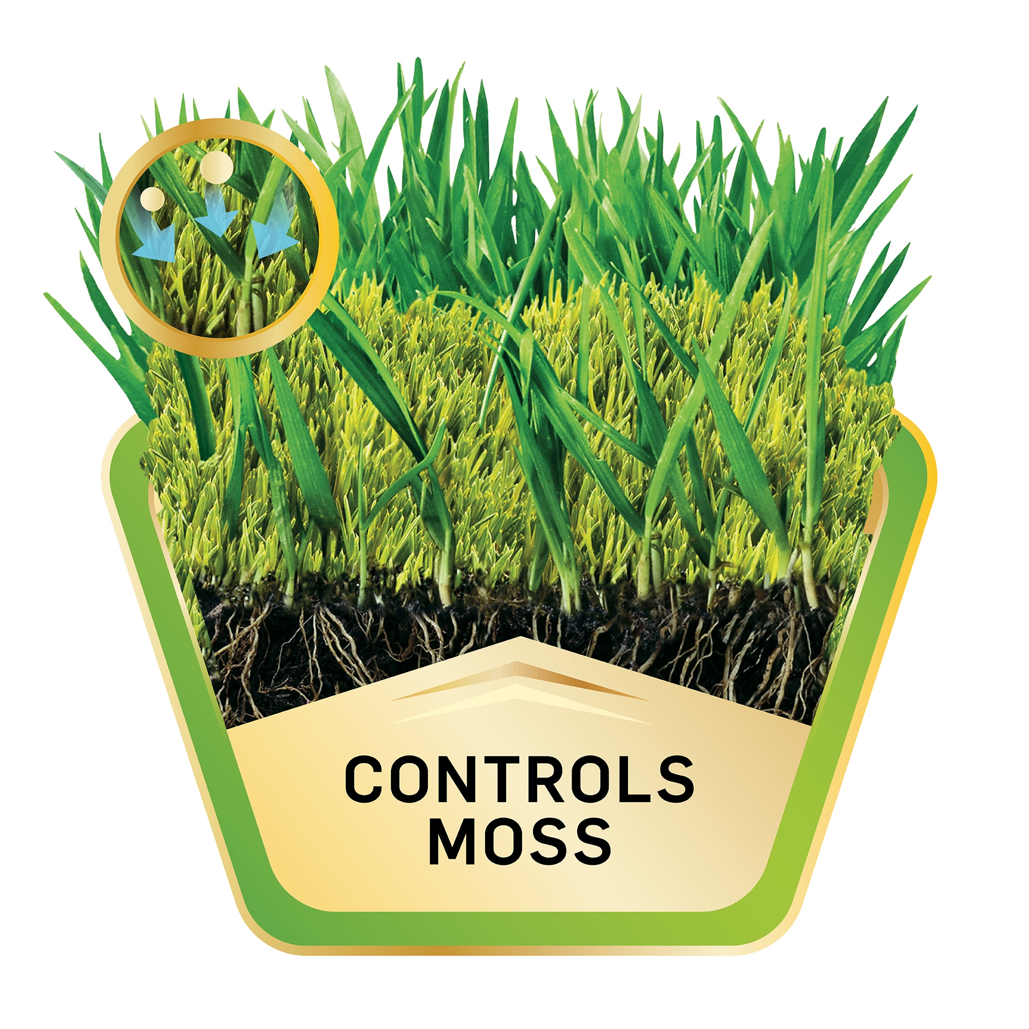 Scotts Moss Control Granules for Lawns 4.59lb Moss Control in the Moss