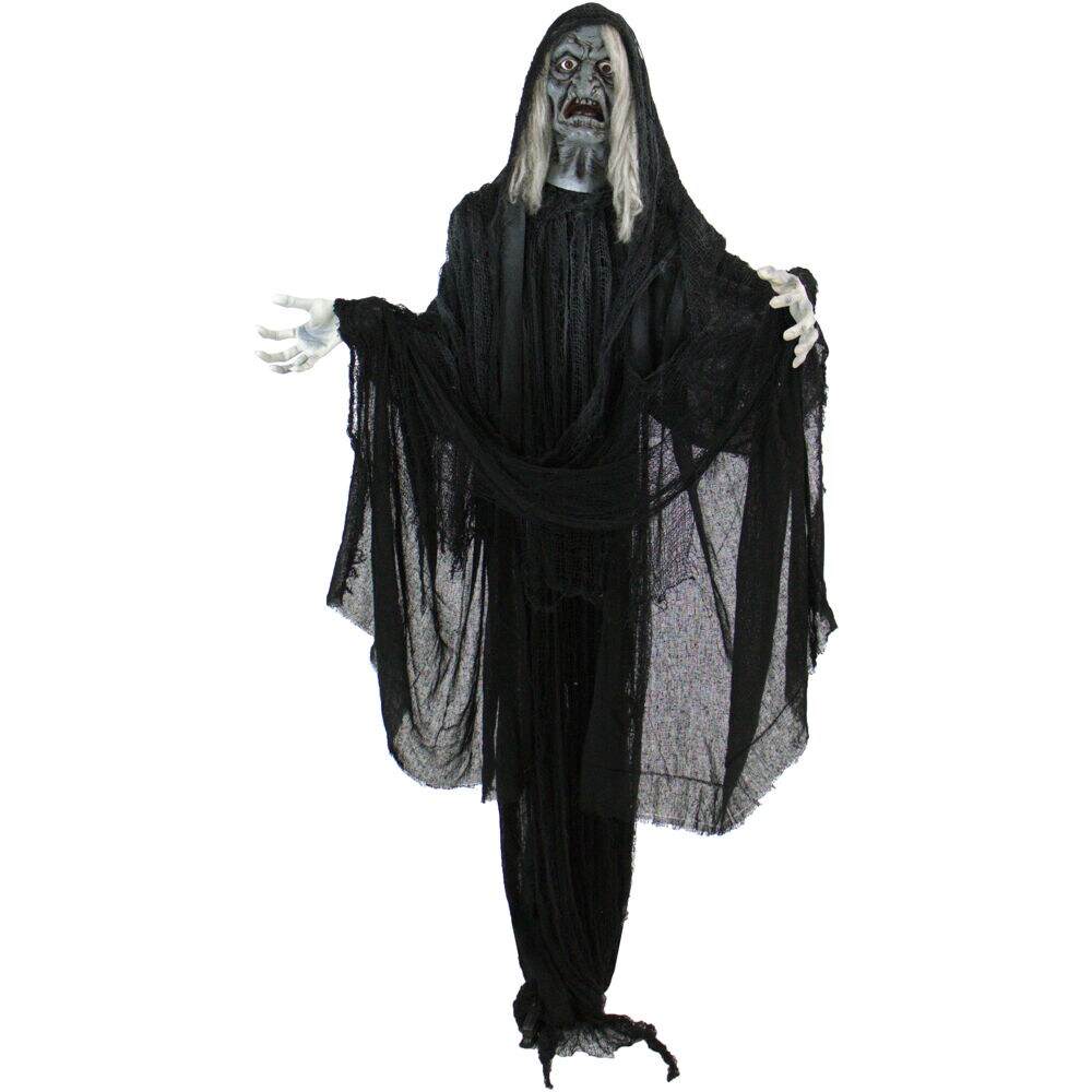 Haunted Hill Farm 6-ft Talking Lighted Animatronic Witch Free Standing ...