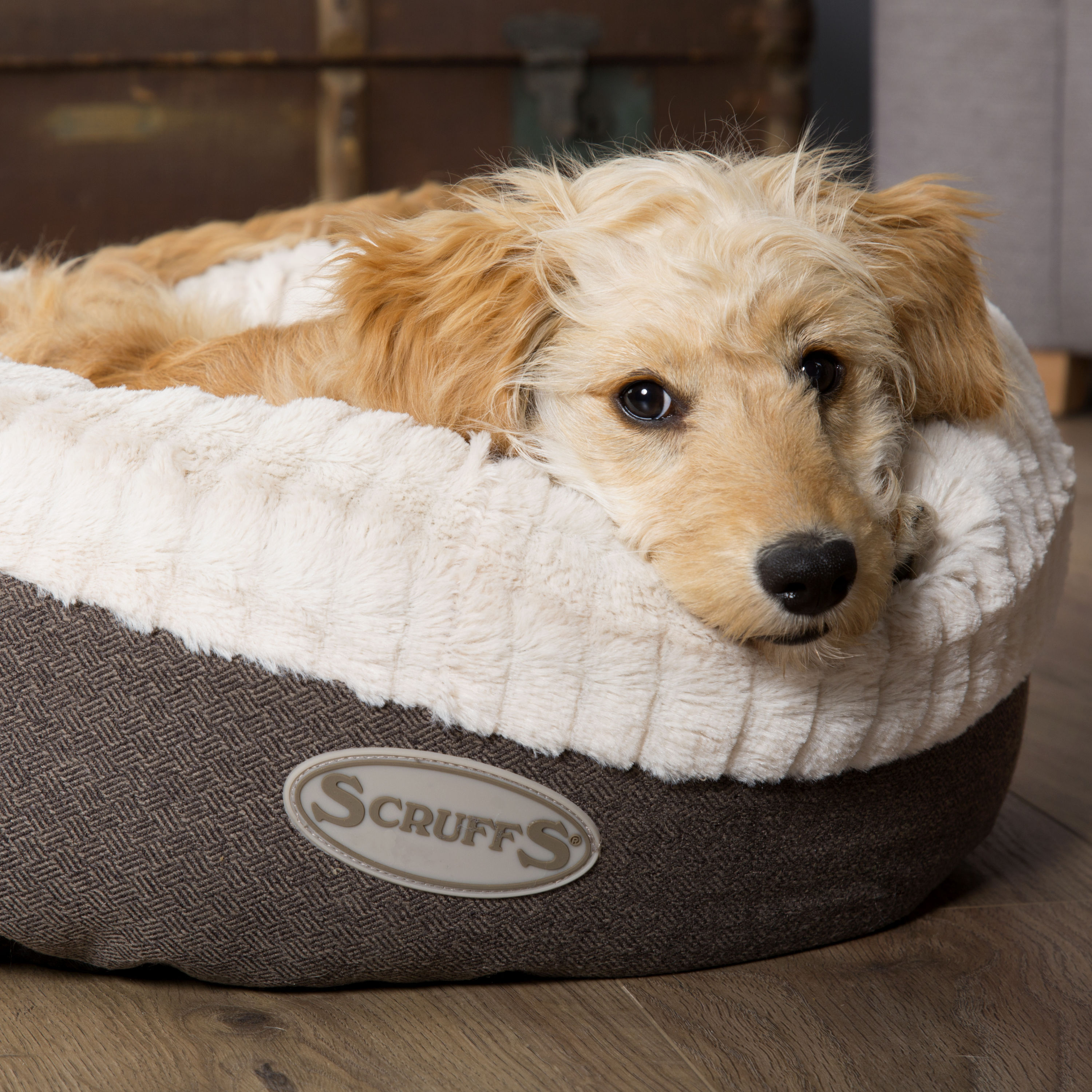 scruffs ellen dog bed