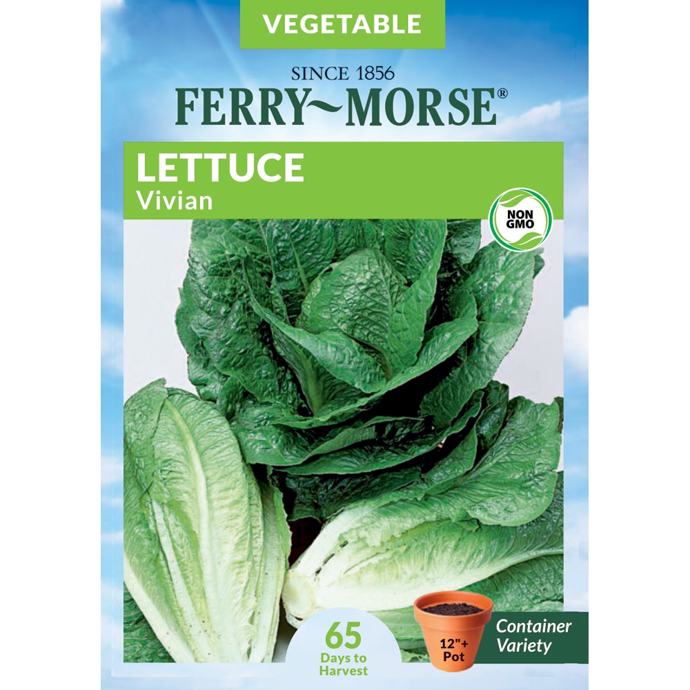 Ferry-Morse 914792.219.641773 Lettuce Vivian Vegetable Seeds 0.685 Gram(s)