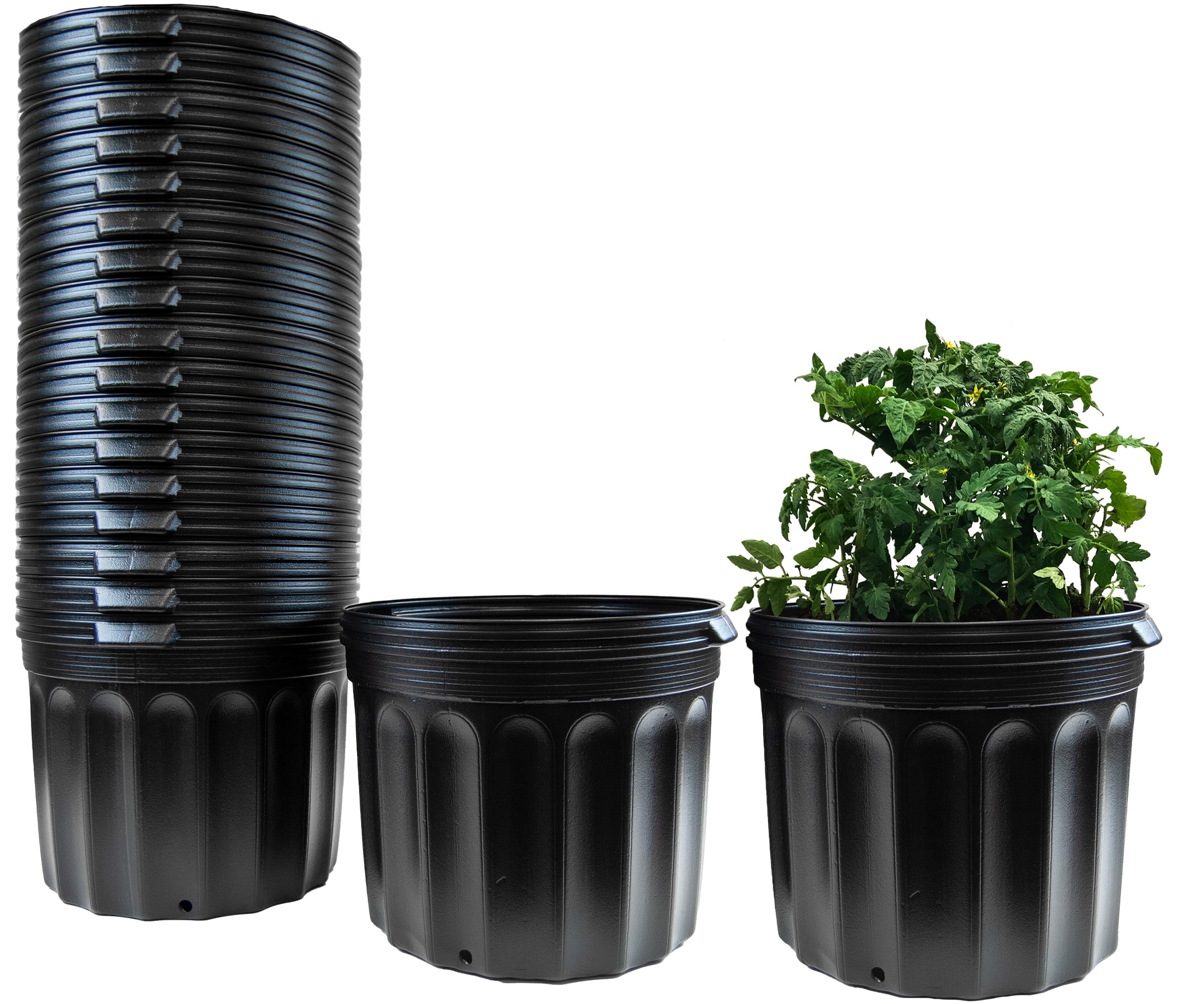Medium Black BPA-Free Plastic Round Nursery Pots, 24-Pack
