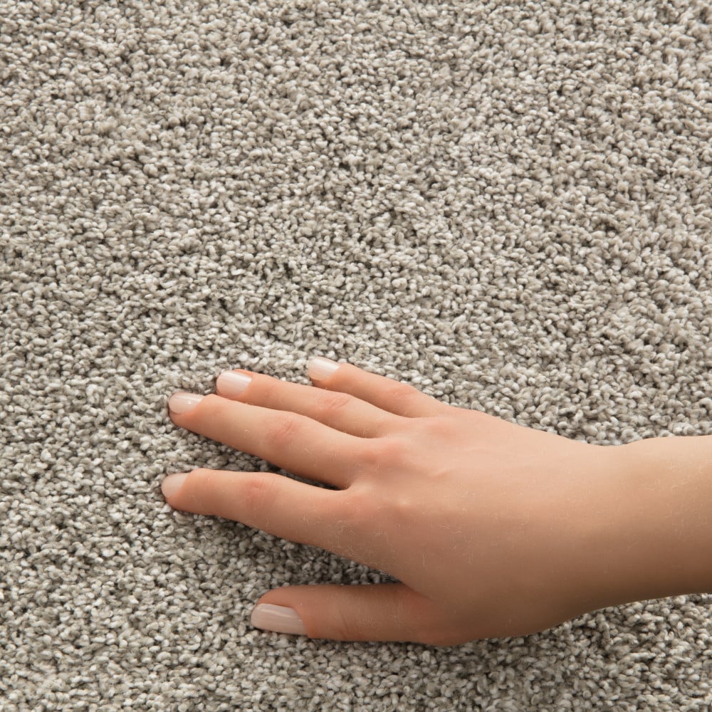 STAINMASTER PetProtect 7L965-125-SAMP Carpet-Samples - View #4