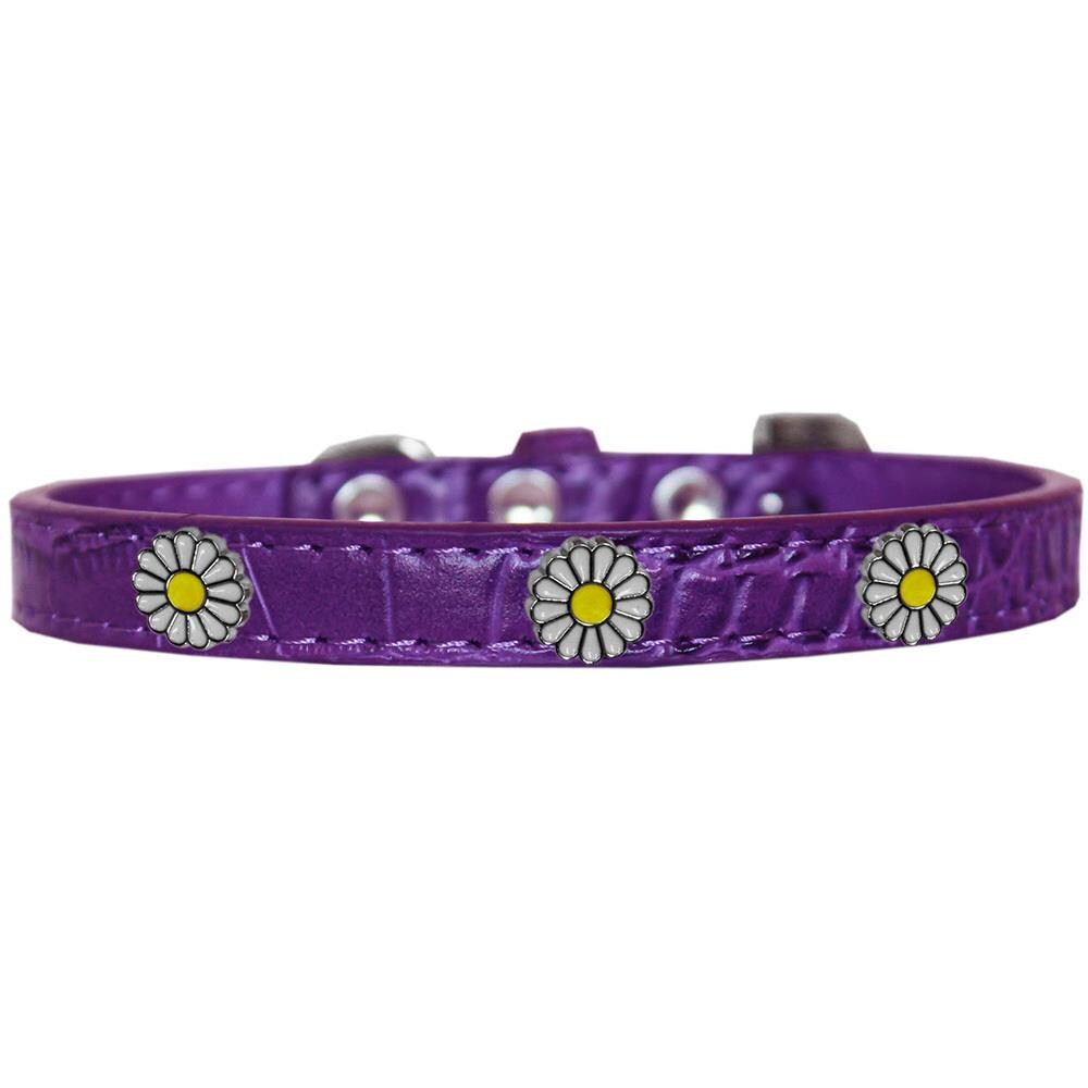 Mirage Pet Products MRPP130778 Mirage Pet 720-24 PRC20 White Daisy Widget Croc Dog Collar- Purple, Size 20