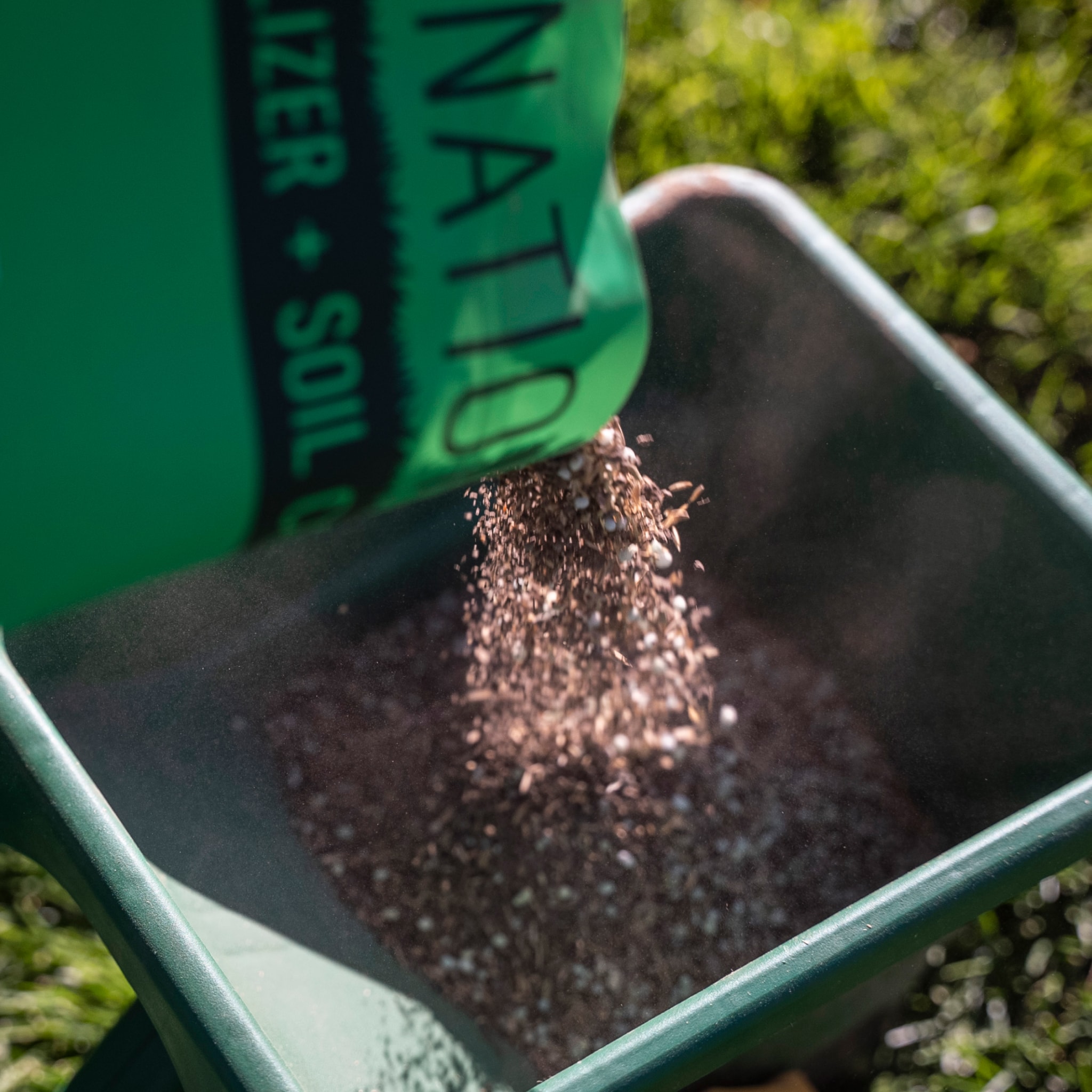 Sunday FF2027 Grass-Seed - View #6