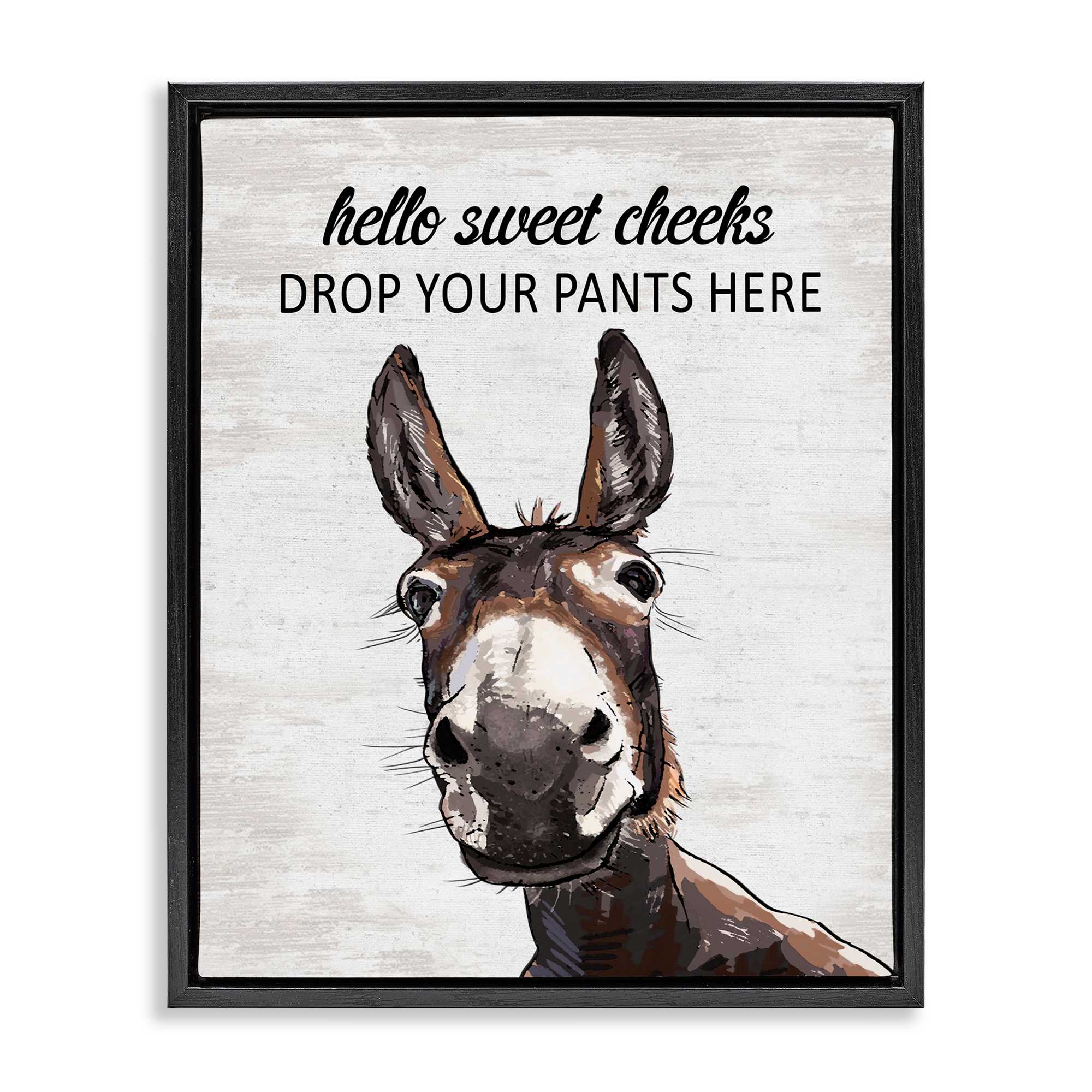 Stupell Industries BS-870-FFB-16X20 Sweet Cheeks Laundry Donkey Black Framed Floater Canvas Wall Art By Lettered and Lined 17 x 21