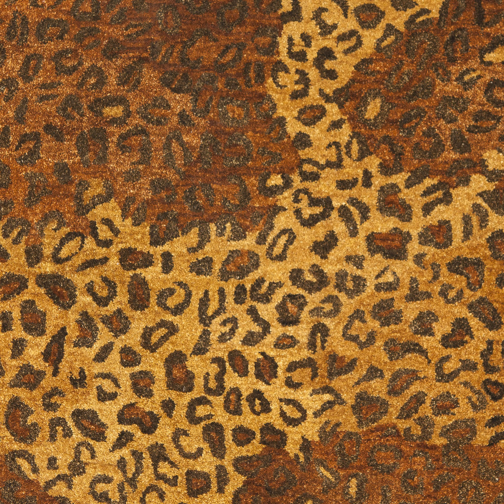 Safavieh BRG193A-6 rugs - View #3
