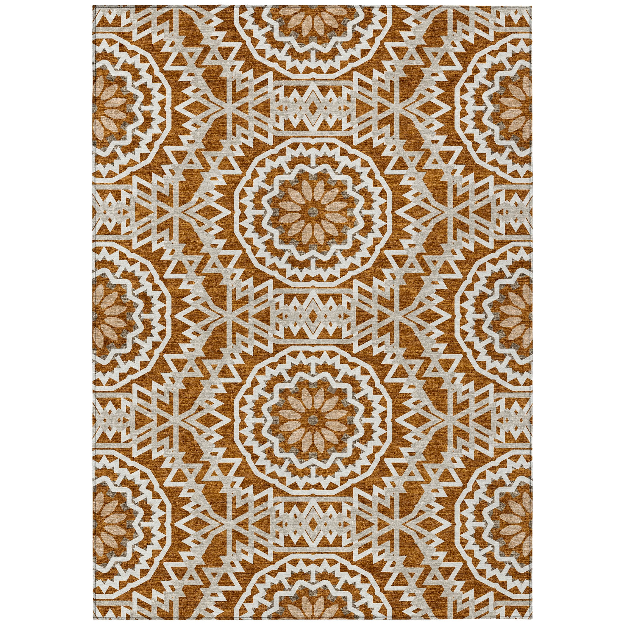 Addison Rugs ACN619PK10X14 rugs - View #2