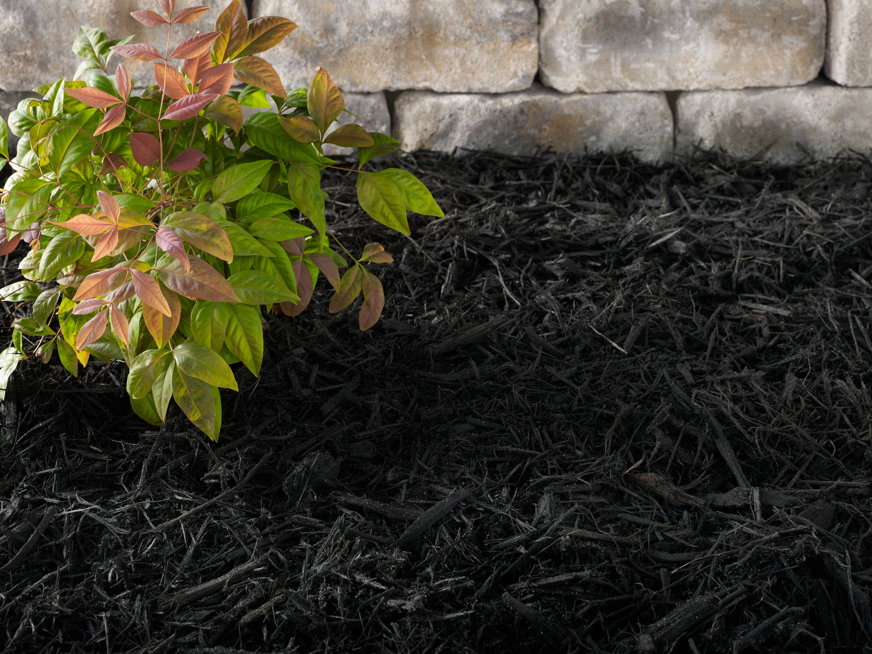 Preen 290301 Bagged-Mulch - View #6