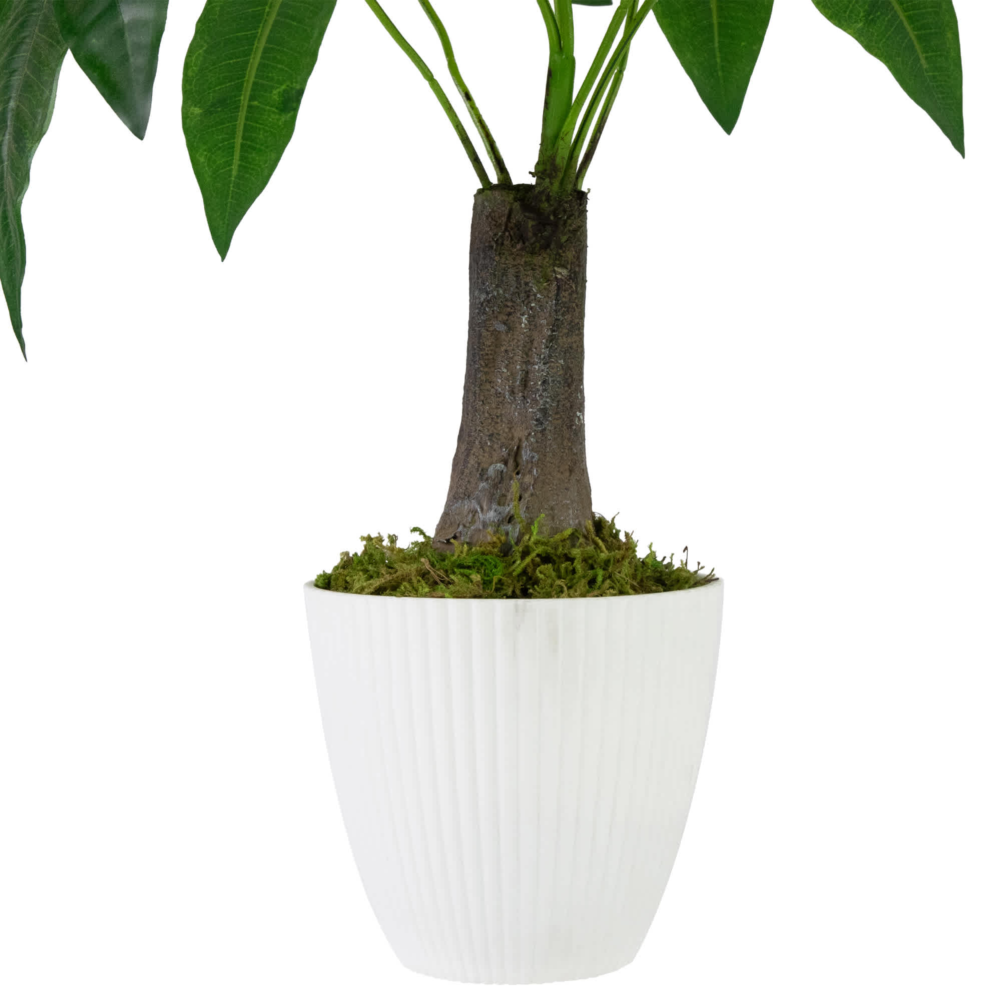 Northlight NORTHLIGHT SM99504 Artificial-Plants-Trees - View #4