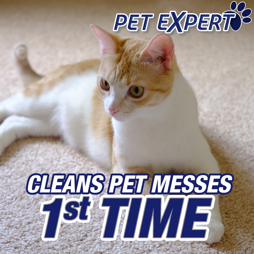 Resolve 019200780339 Carpet-Cleaners - View #2