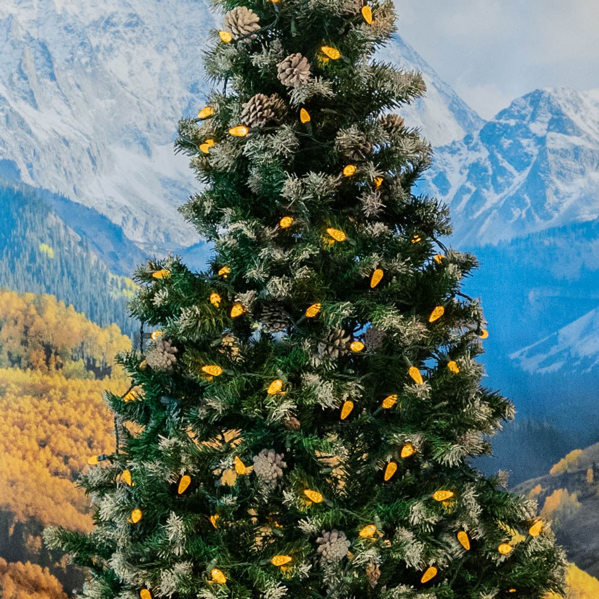 Novelty Lights CGC6LED70-G-YE Patio-String-Lights - View #8