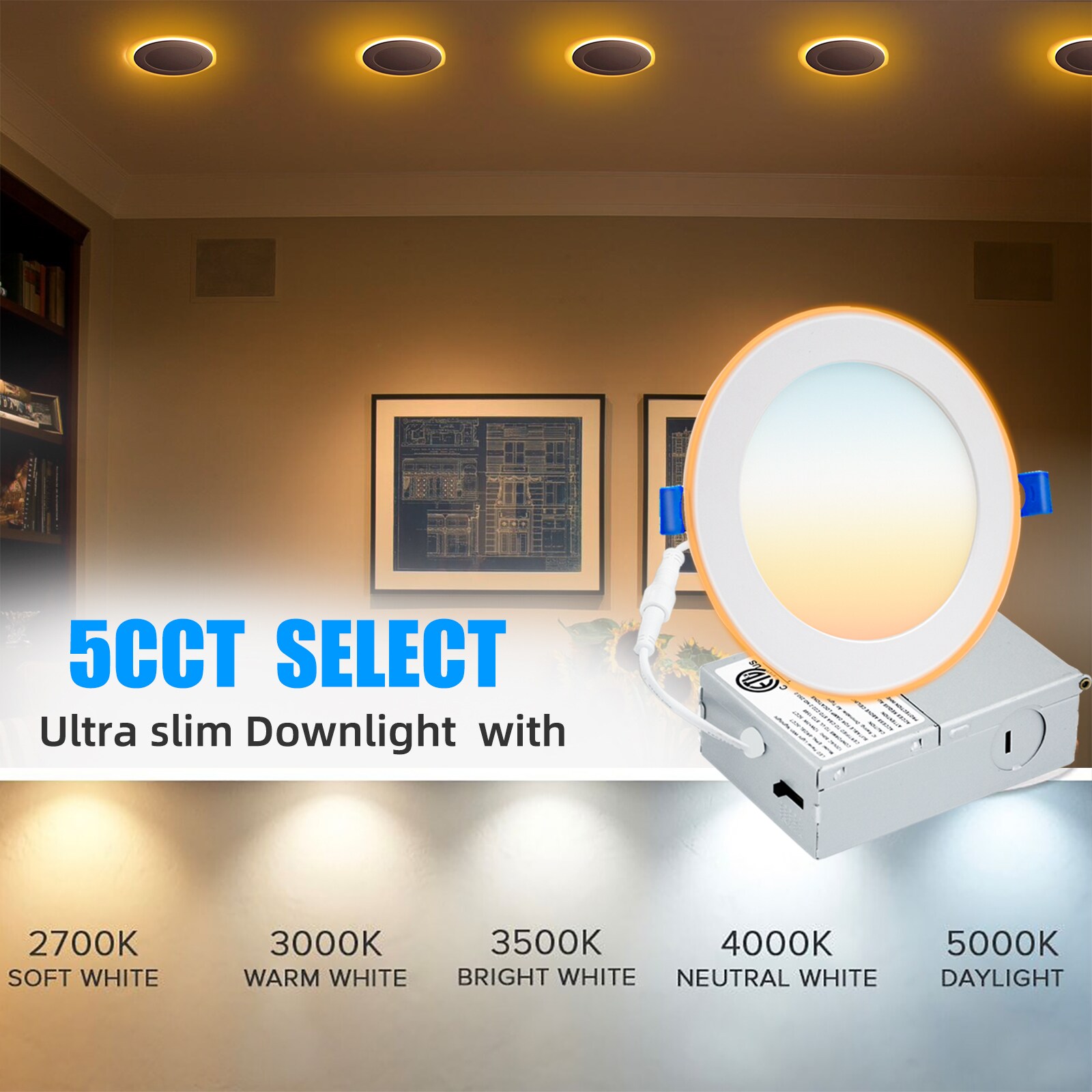 Bieuoram 6IN-6PCS-NIGHT-B Led-Retrofit-Downlight - View #4