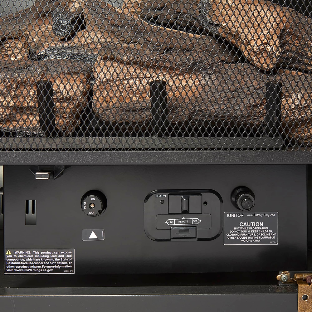 Duluth Forge DFS-300R-2GR Gas-Fireplaces - View #9