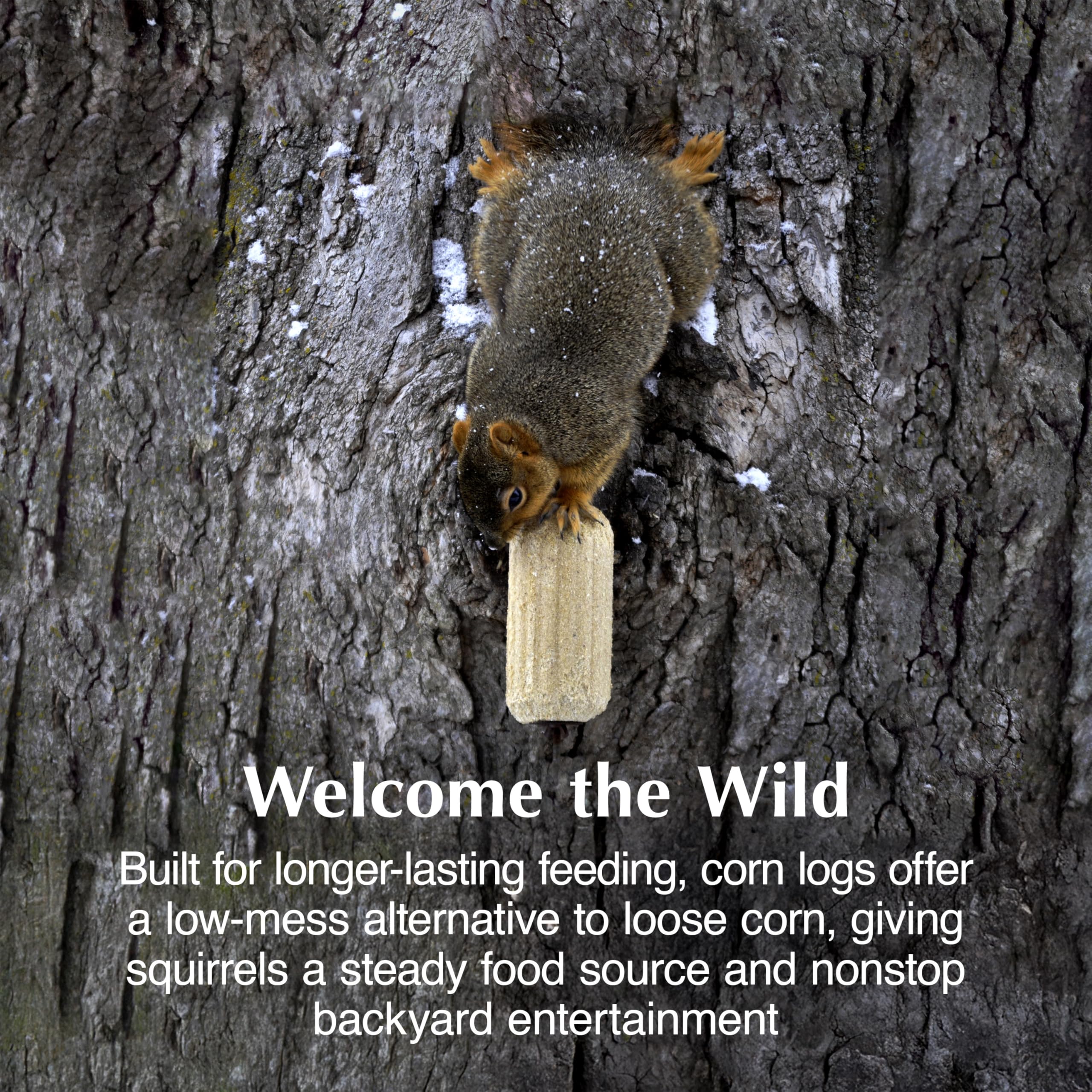 C&S 100214223 Squirrel-Feeders - View #3