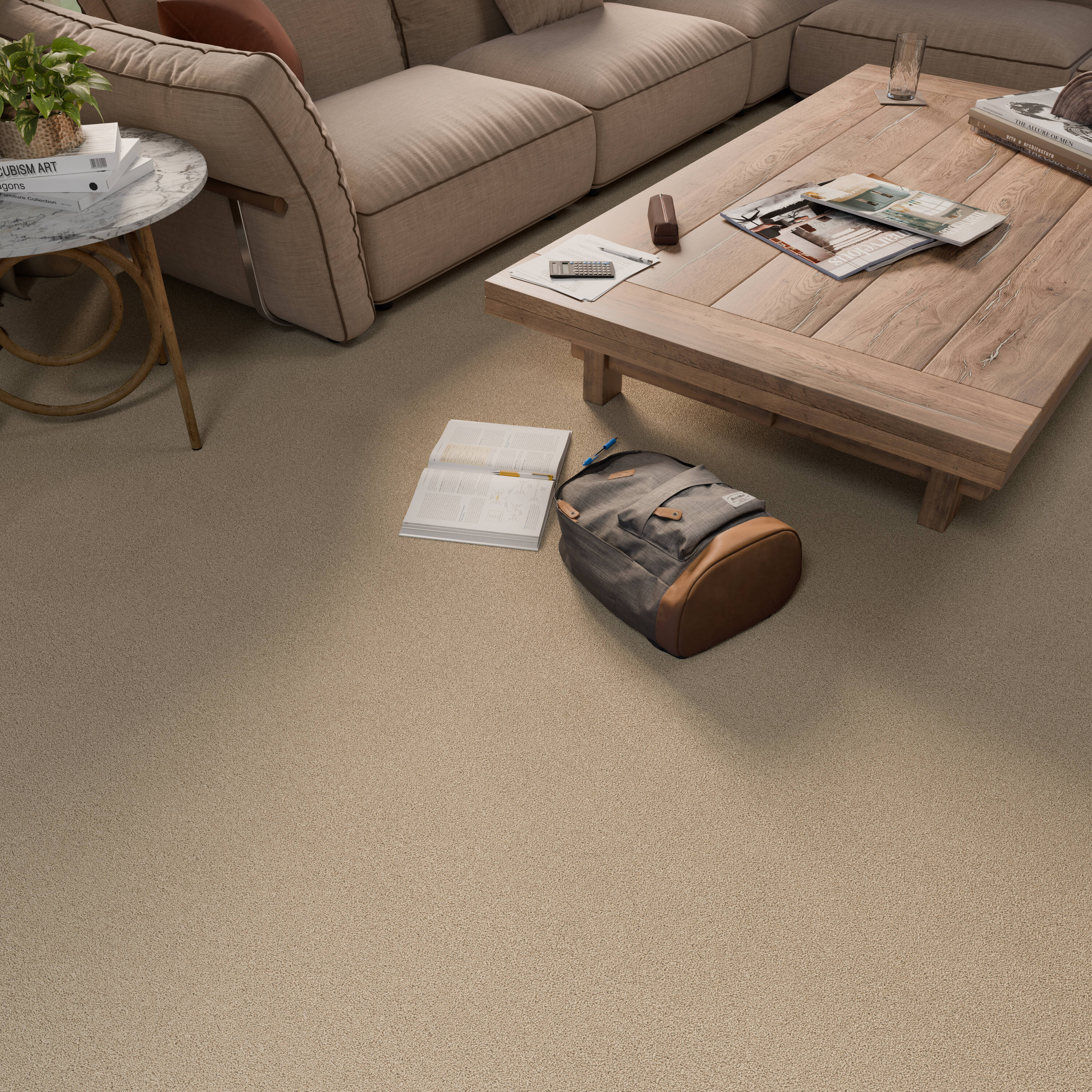 STAINMASTER PetProtect 7L970-102-SAMP Carpet-Samples - View #5