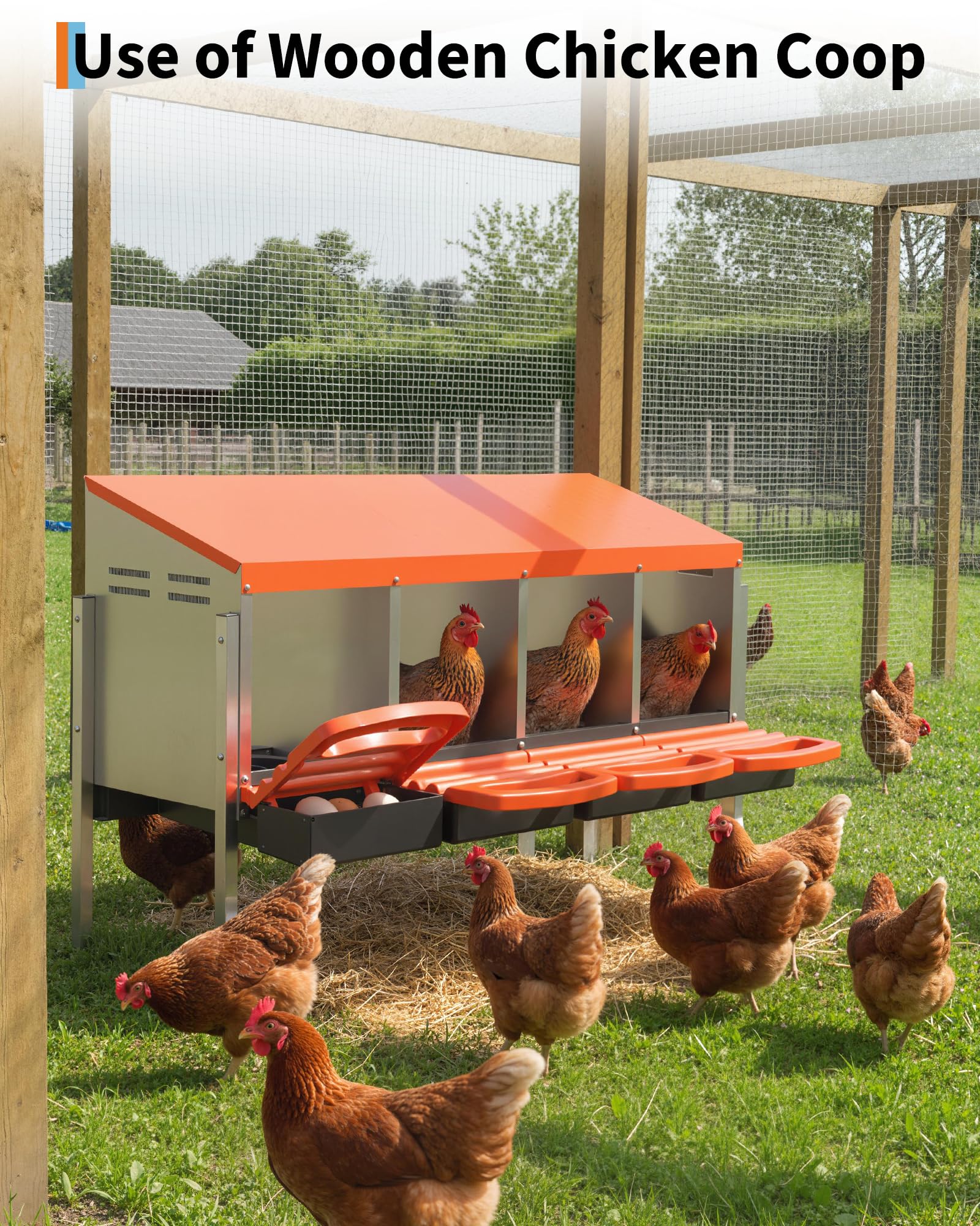 DEXSO NOVA-44ANRLY2K6M Chicken-Coops-Rabbit-Hutches - View #6