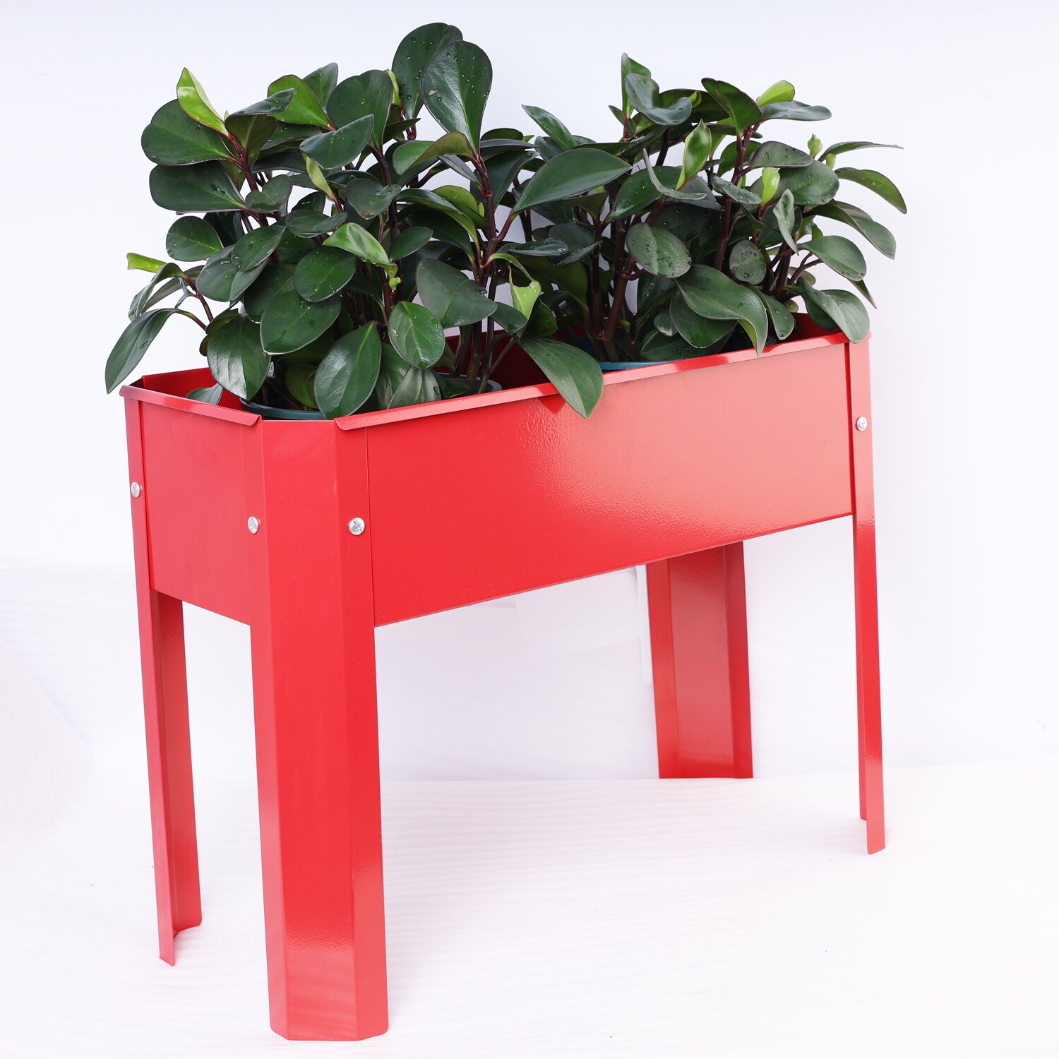 Siavonce XH82442 Raised-Planter-Boxes - View #5