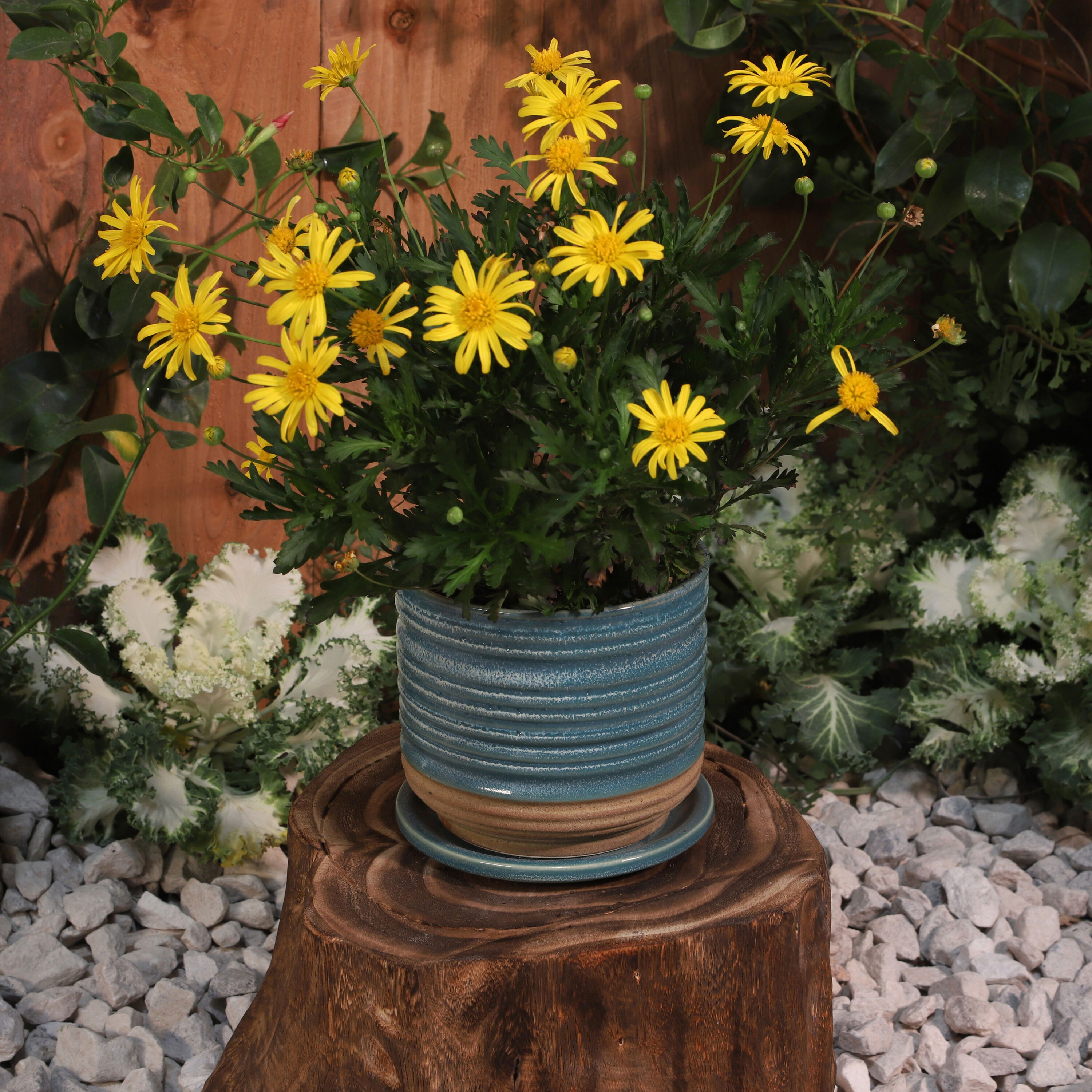 Sagebrook Home 14773-05 Planter-Window-Box - View #5