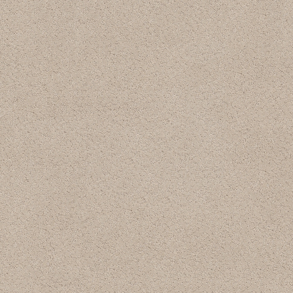 STAINMASTER PetProtect 7L944-120-SAMP (Sample) 8-in x 8-in with LeakDefense Paws Of Joy Dune View Brown 48.8-oz sq yard High-performance polyester Pattern Indoor Carpet