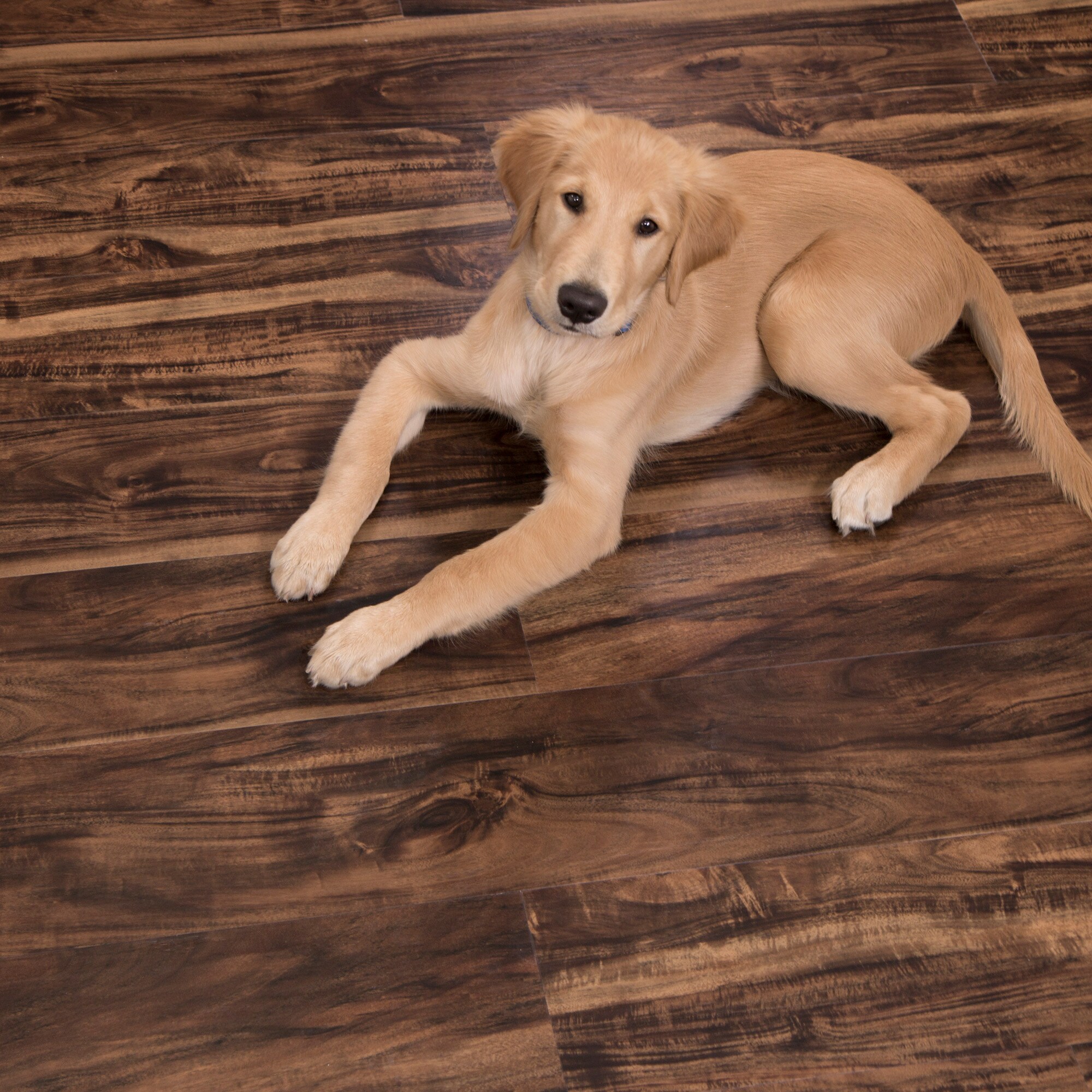 CALI 7904108607 Luxury-Vinyl-Plank-Samples - View #5