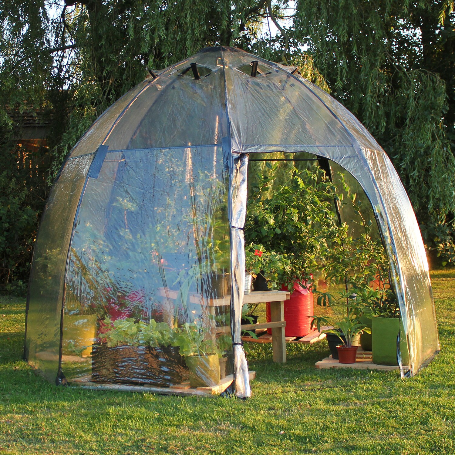  50-2500 9.18-ft L x 9.18-ft W x 6.5-ft H Clear Greenhouse Kit
