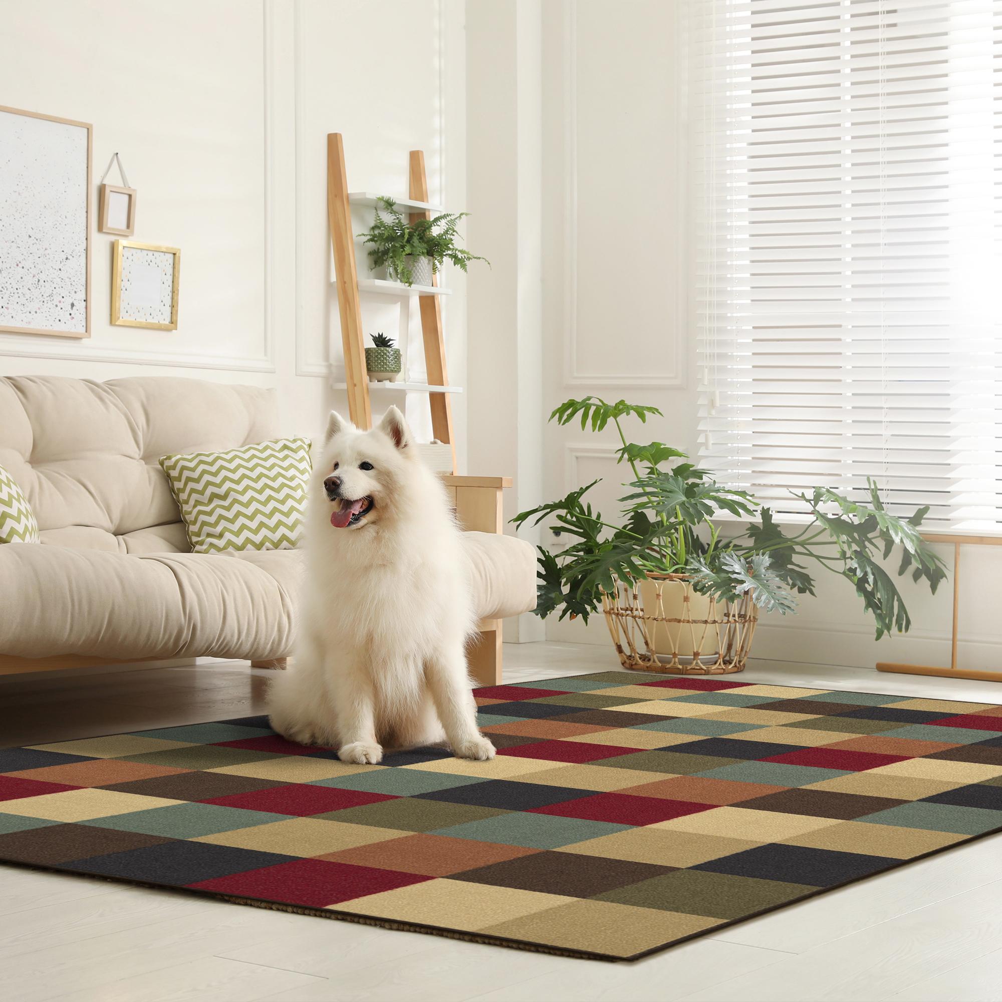 Ottomanson CLS3079-3X5 Checkered Rug For Living Room 3 x 5 (ft) Loomed Nylon Multicolor Rectangular Indoor Geometric Area rug