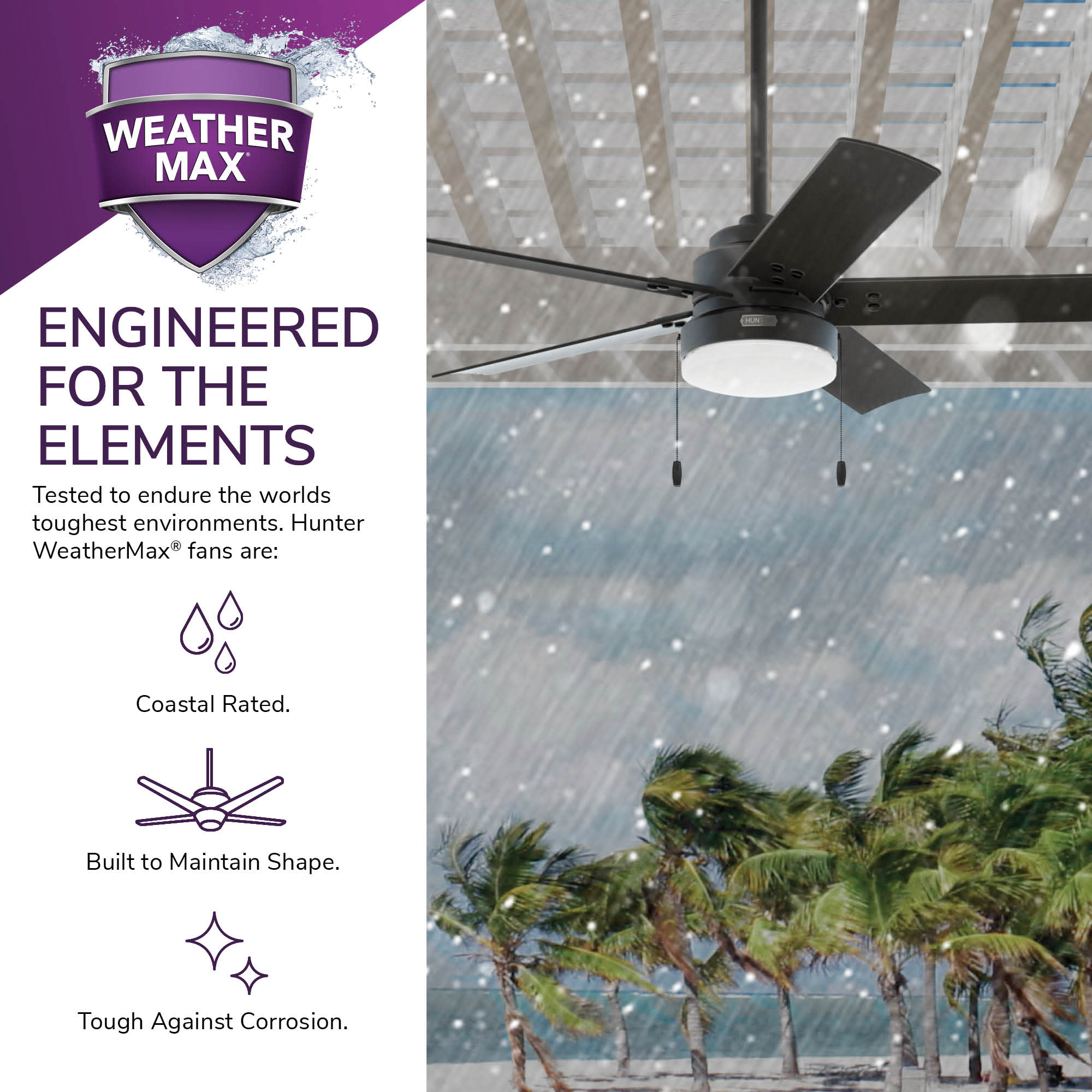 Hunter 51681 Ceiling-Fans - View #16