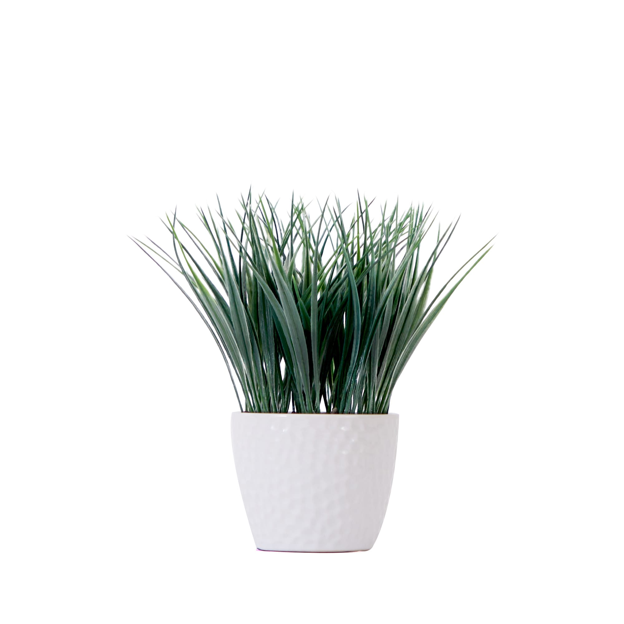 Nearly Natural P1914 9-Inches Green Indoor Desktop Silk Artificial plant