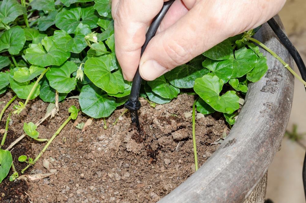 Genesis RSI-CDK24 Drip-Irrigation-Kits - View #2