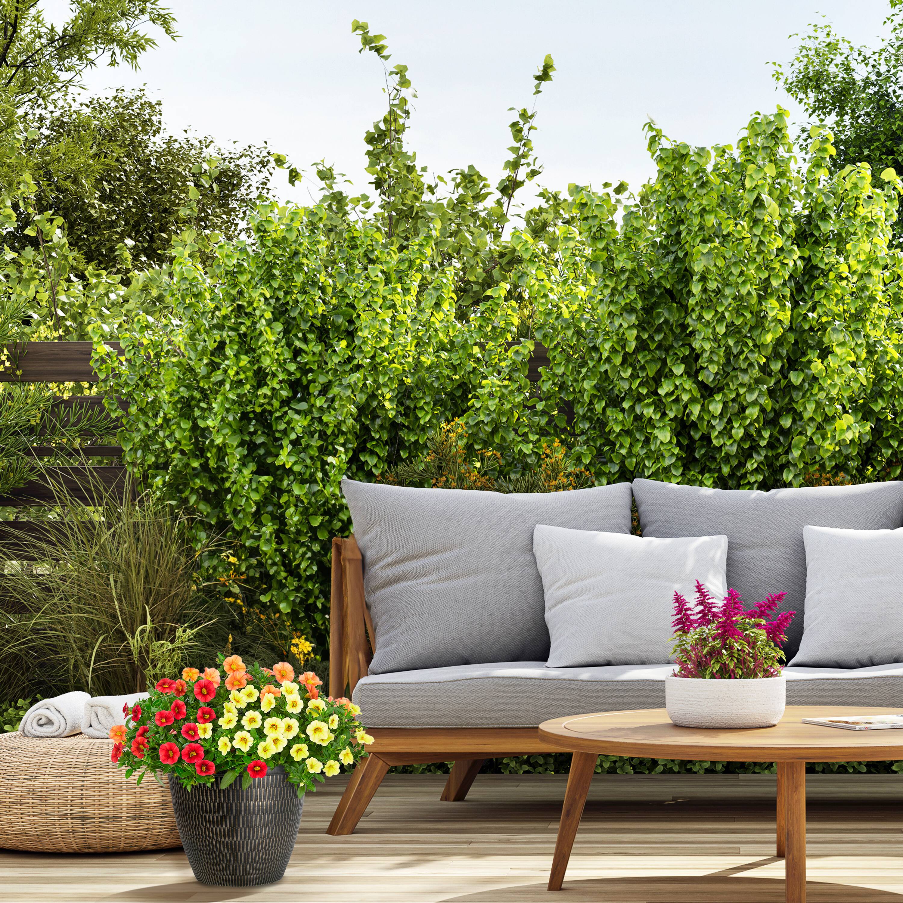 Style Selections  Round Bronze Multli-Size Recycled Plastic Indoor/Outdoor Planter Collection