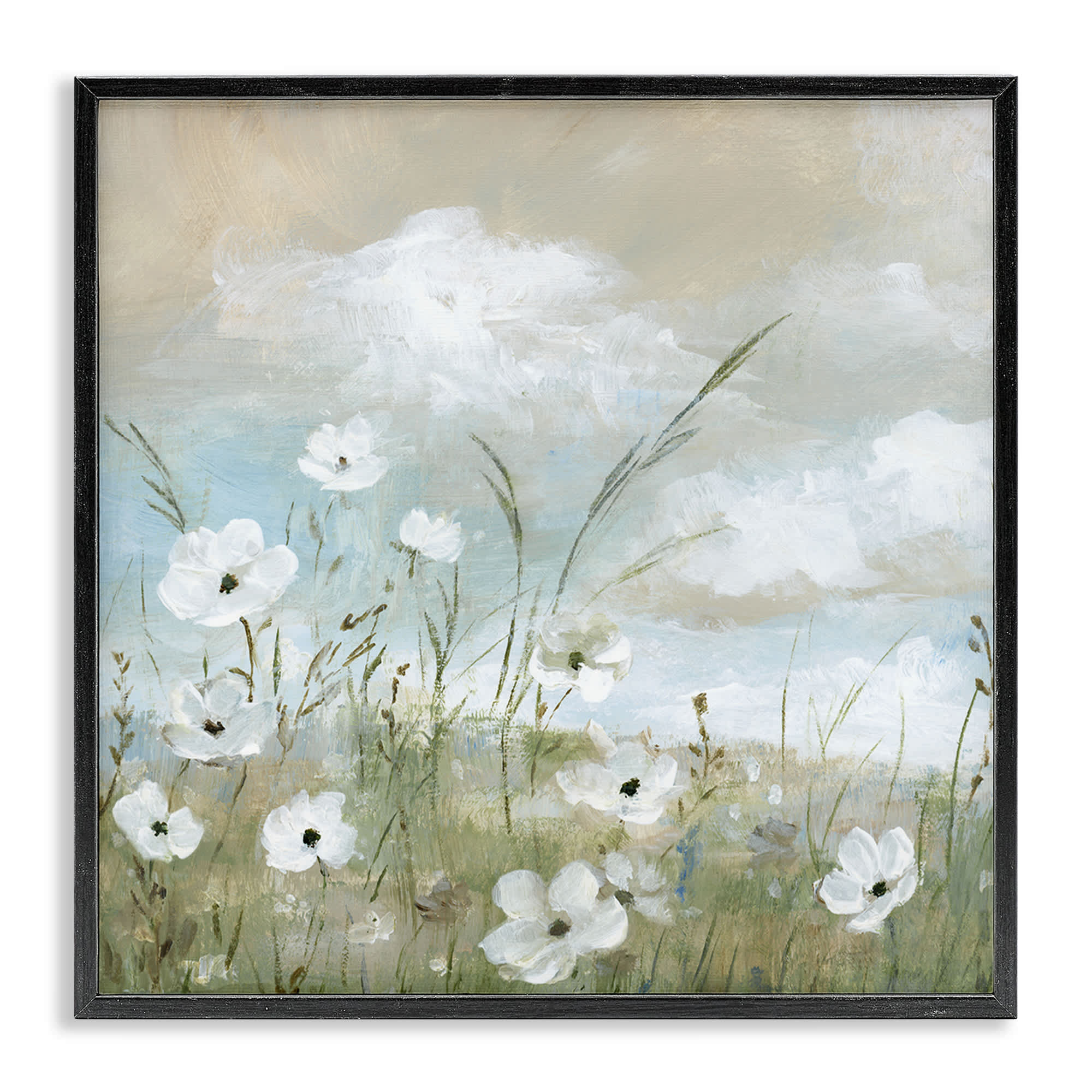Stupell Industries BS-230-FR-17X17 Clouds Beyond Meadow Black Framed Giclee Art By Nan 17 x 17