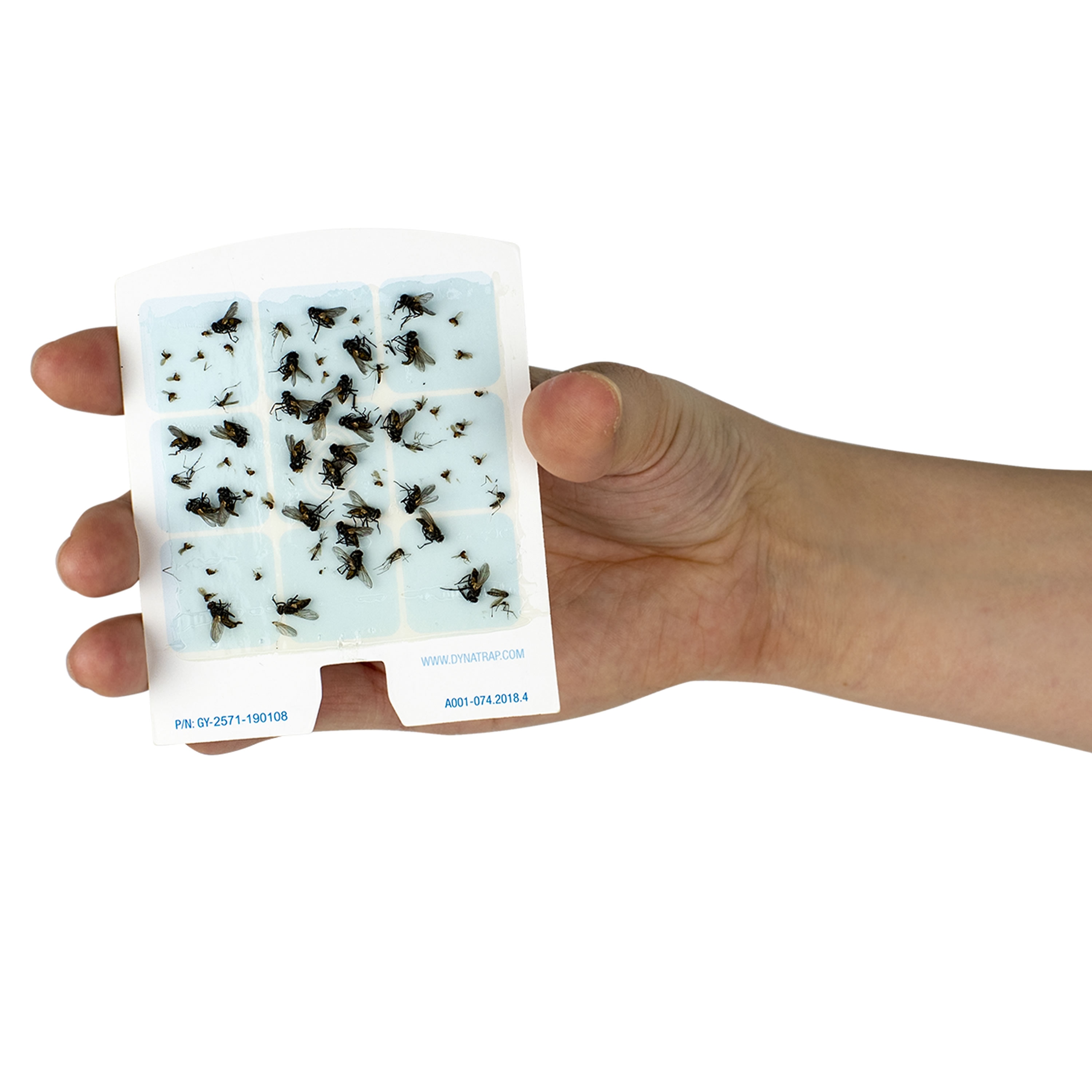 DynaTrap 23005-0612 DOT StickyTech Replacement Indoor Flying Insect Trap  Glue Cards - 6 Pack