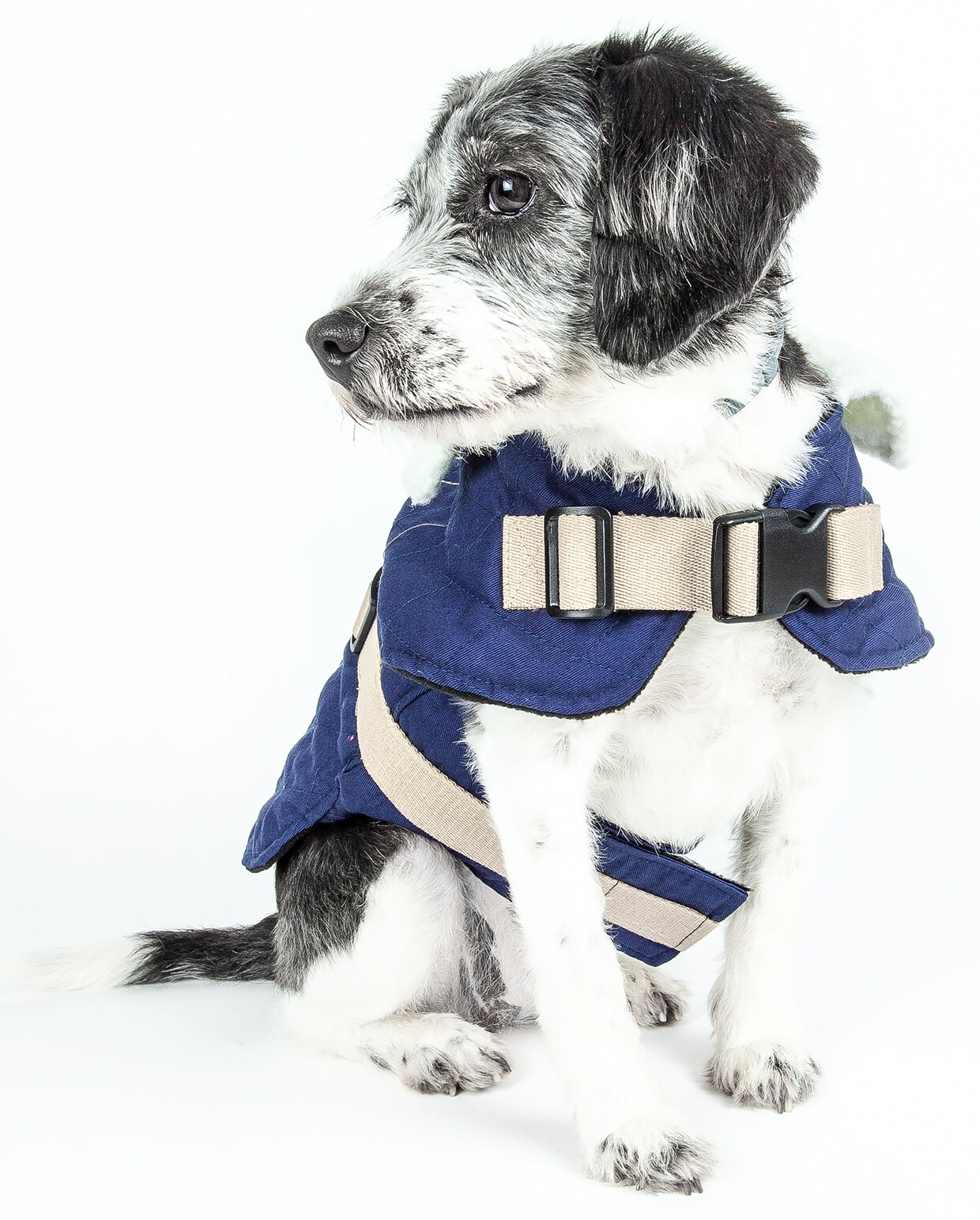 Touchdog JKTD7BLMD Dog-Apparel - View #2