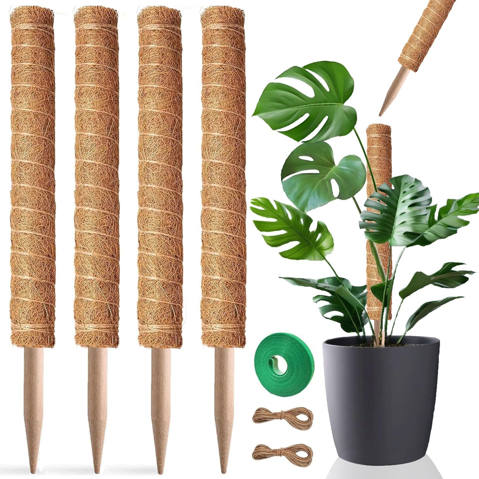 Justincity 4 pcs 24 Inch Plastic Moss Pole Set D Shaped Plant