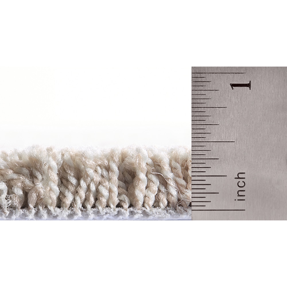 STAINMASTER PetProtect SS022-12-L012 Carpet-Panel - View #5