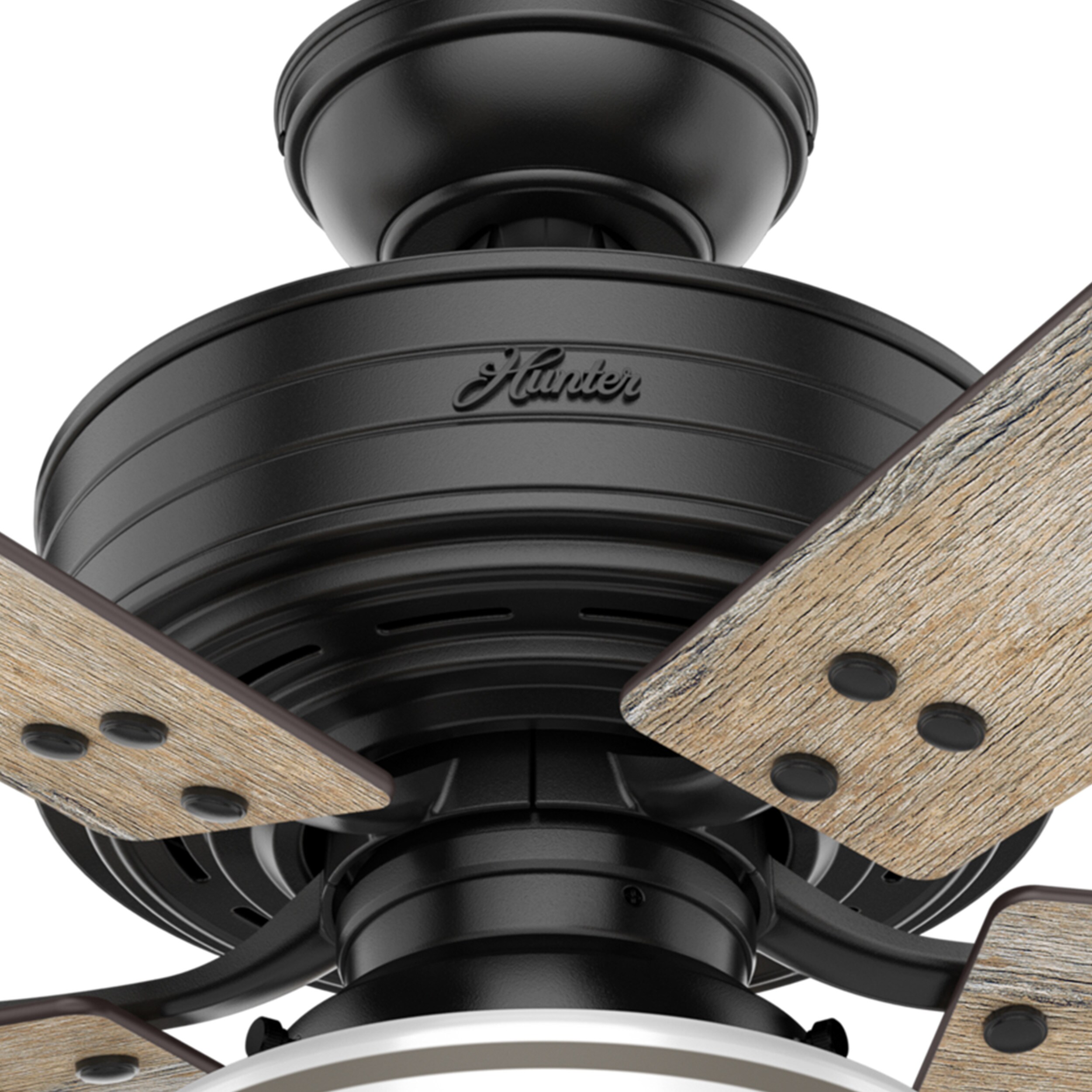 Hunter 54149 Ceiling-Fans - View #15