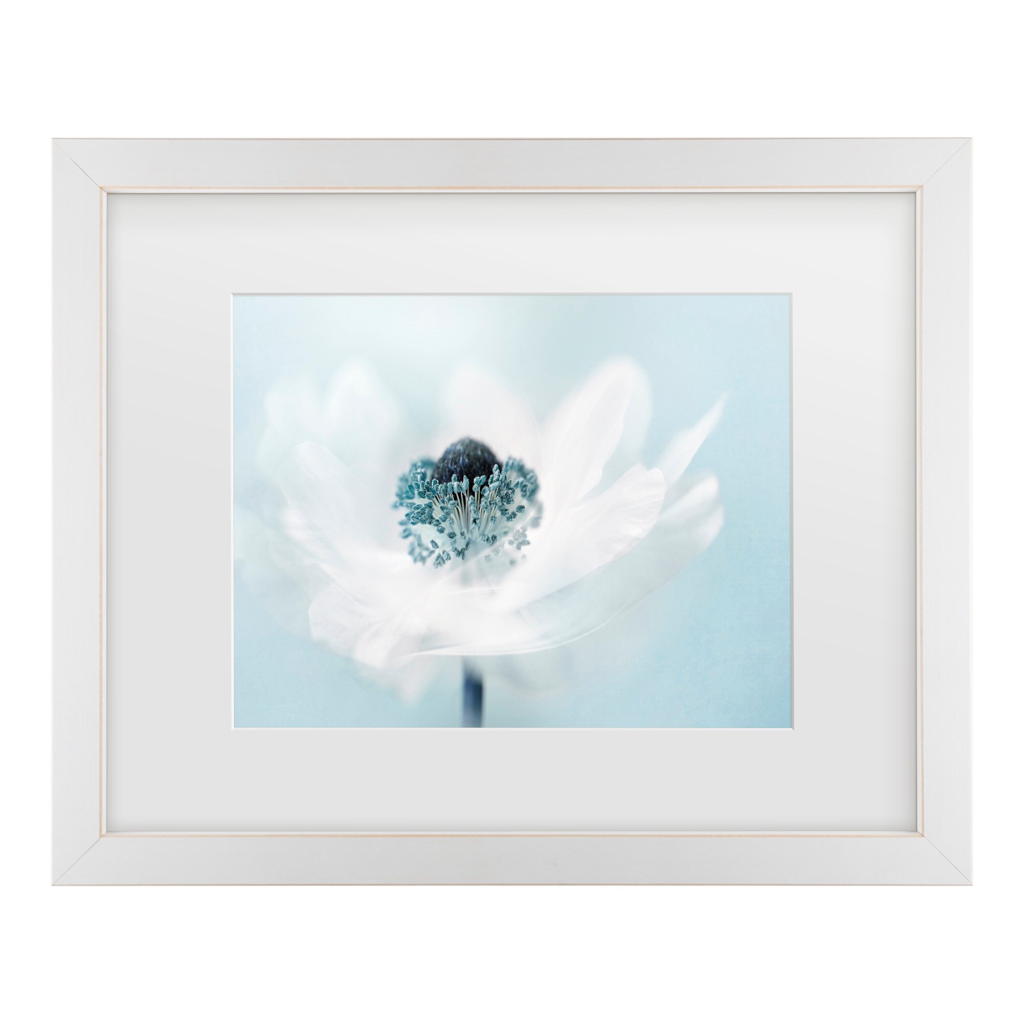 Trademark Fine Art 1X10954-E1114MF Wall-Art - View #2