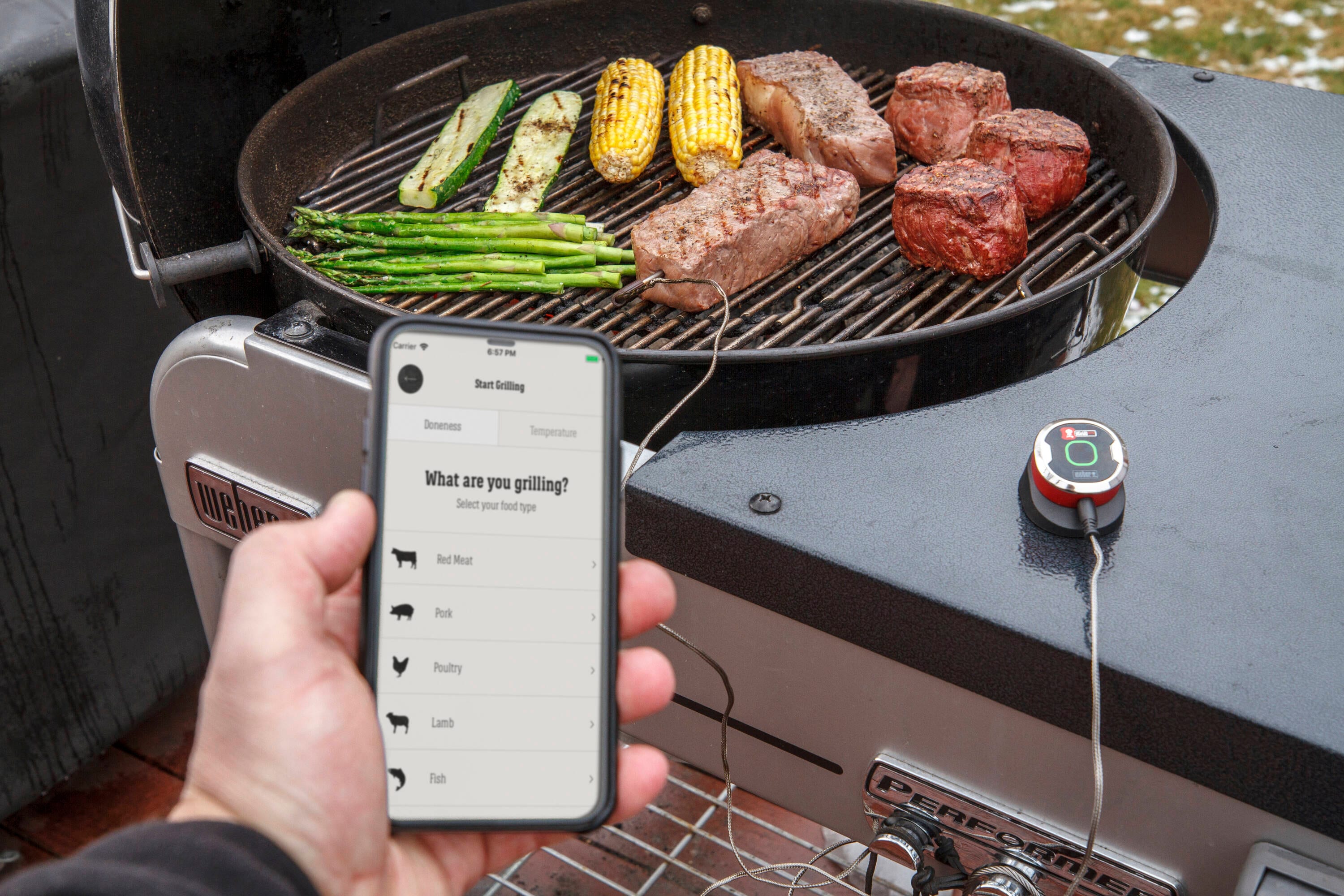 Weber iGrill Digital Leave-in Bluetooth Compatibility Meat