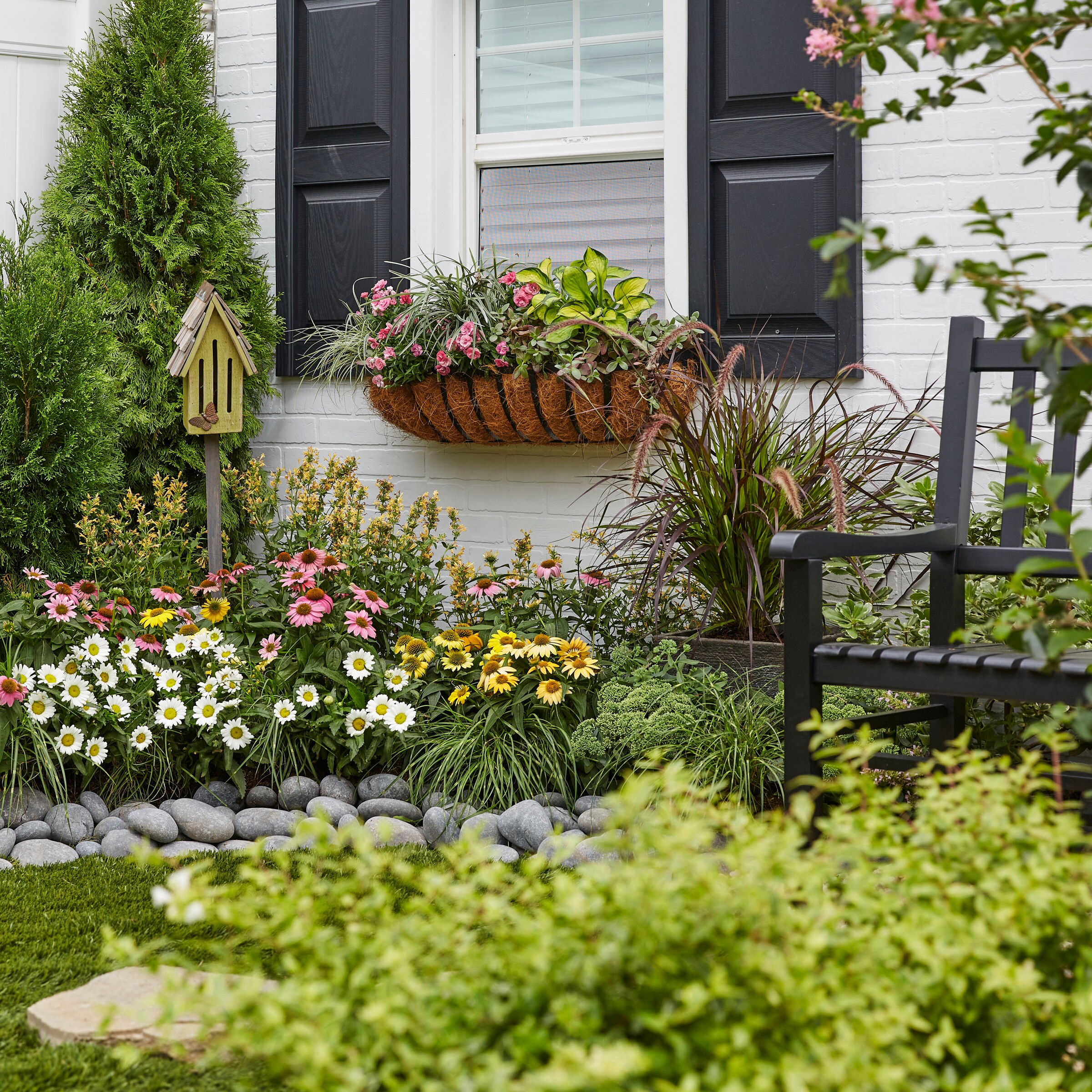 Lowe's NURSERY shrubs - View #5