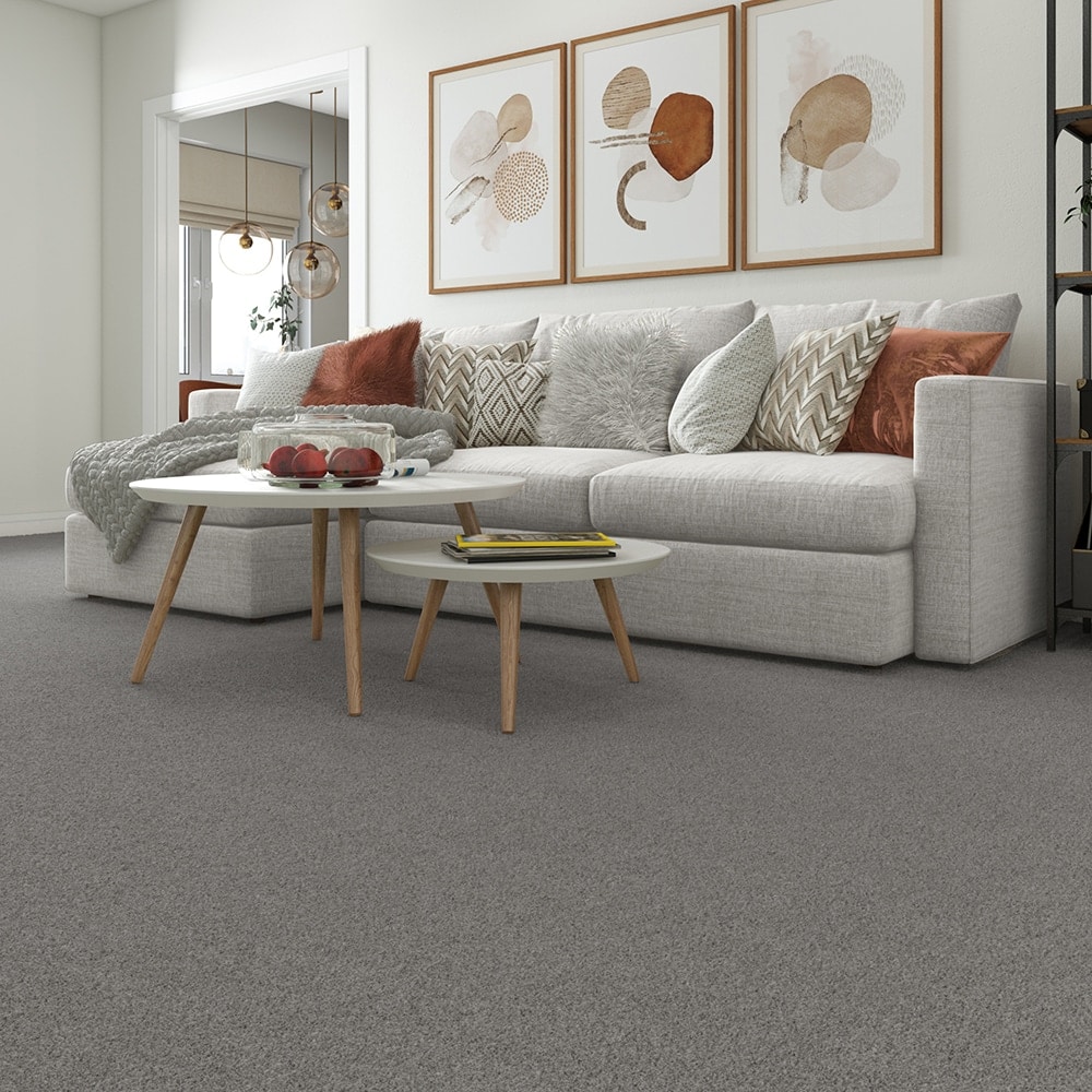 Style Selections CCV05-L001-0808 Carpet-Samples - View #2