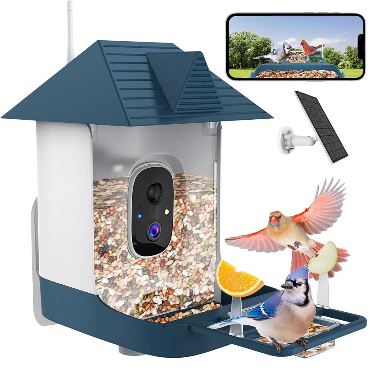 Aoibox  WiFi Smart Bird Feeder Camera 1 Piece Outdoor AI Bird Recognition Solar Powered Auto Cloud Video 1080p HD Night Vision Weatherproof