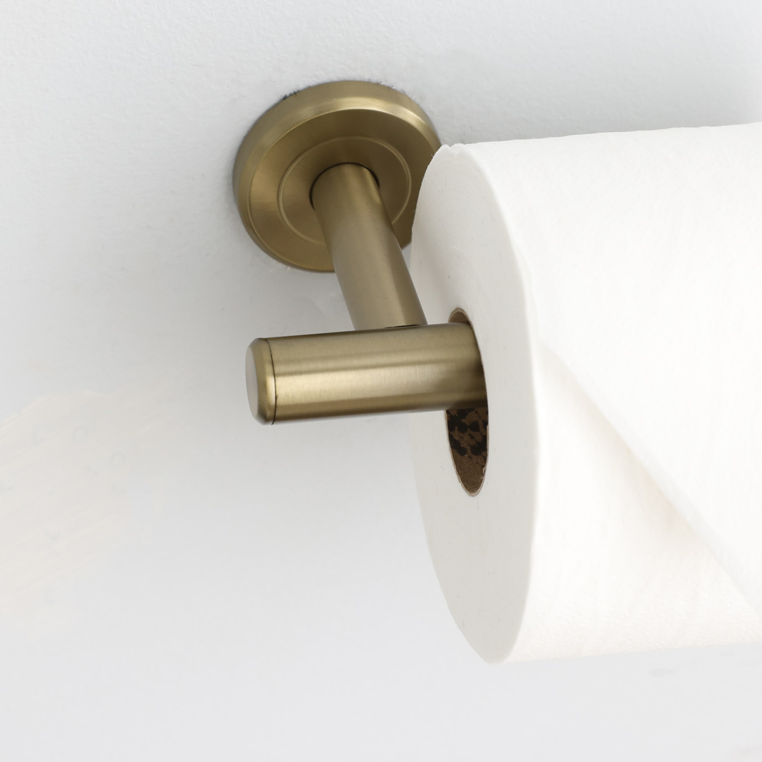 allen + roth Latitude 2 Black Wall Mount Single Post Toilet Paper