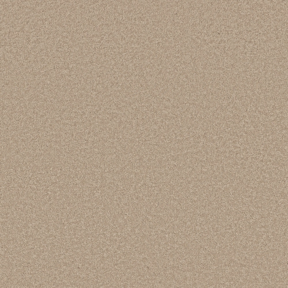 STAINMASTER PetProtect 7L971-103-SAMP (Sample) 8-in x 8-in with LeakDefense Happy Howling II Straw Hat Brown 68-oz sq yard High-performance polyester Textured Indoor Carpet