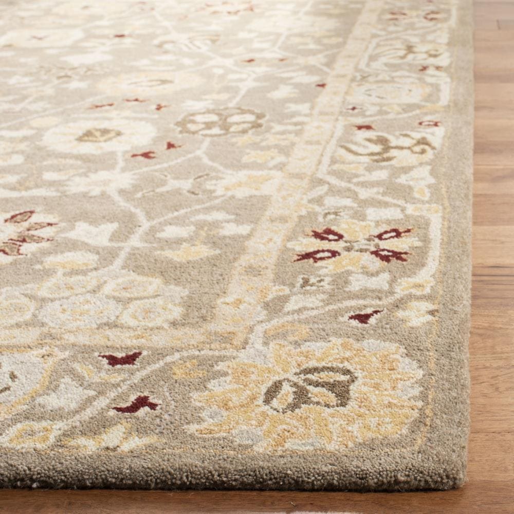 Safavieh AN559A-4 rugs - View #3