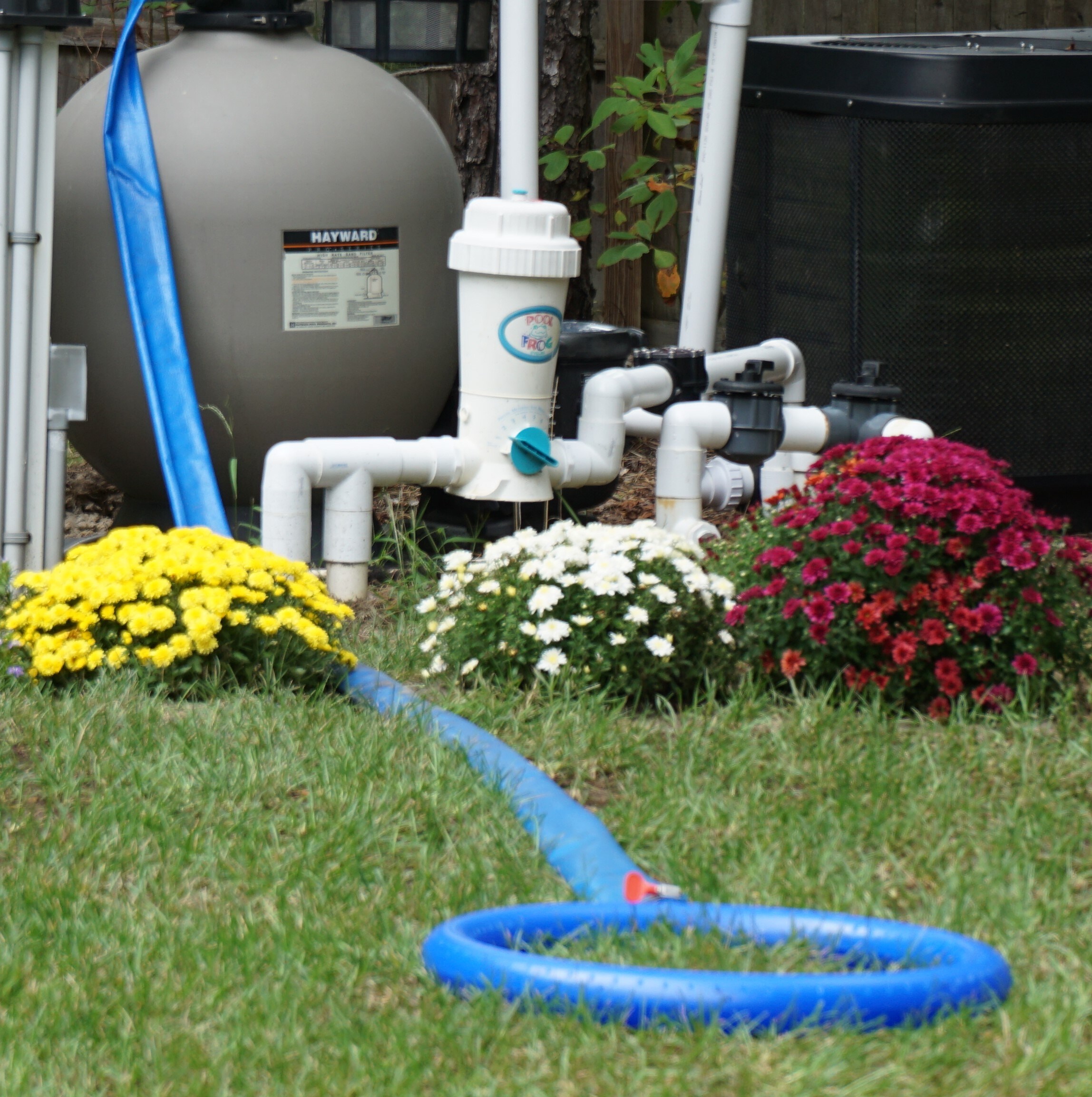 Eco Pool Drain 21-in Polyethylene Backwash Hose in the Pool Hoses  department at