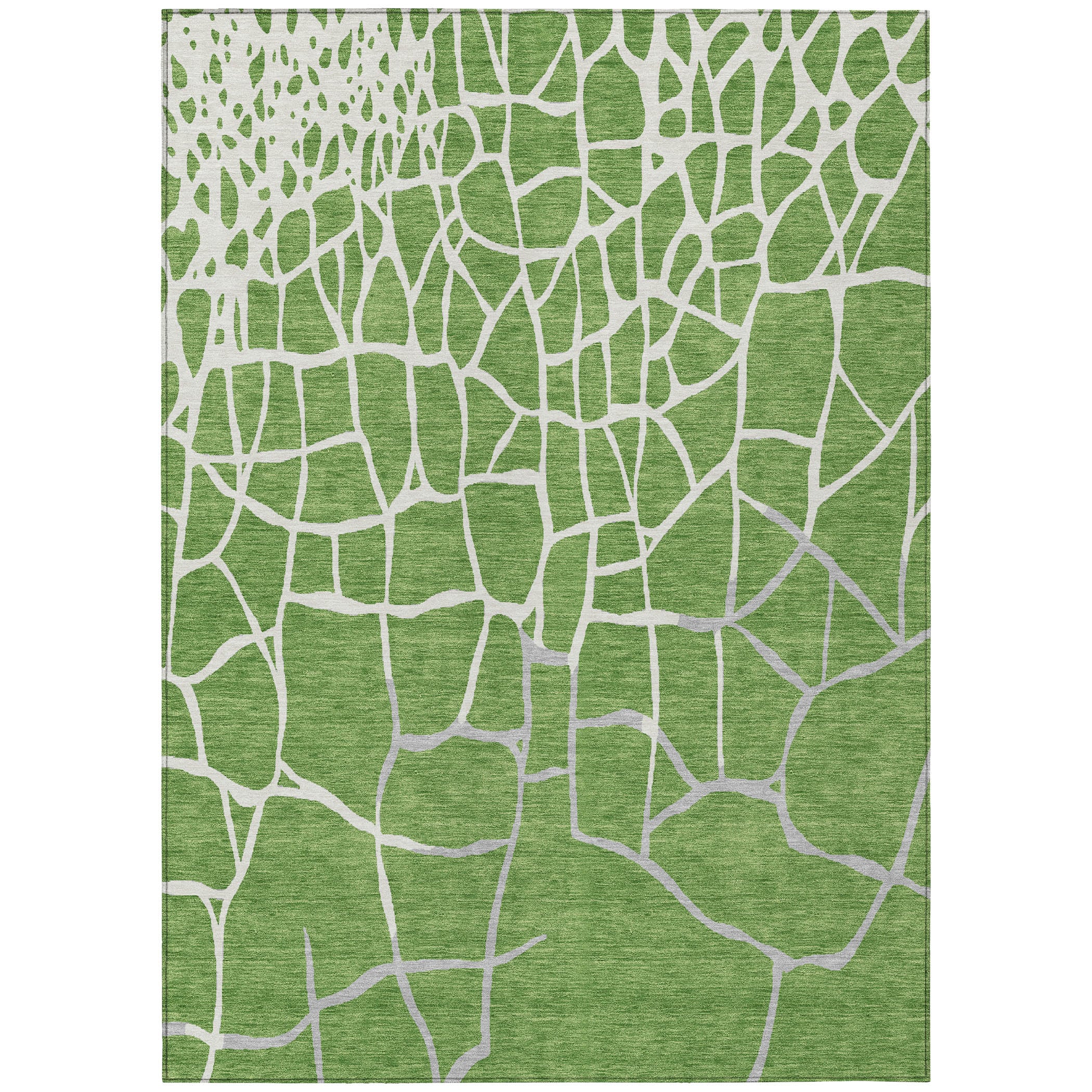 Addison Rugs ACN1049GE30X46 rugs - View #2