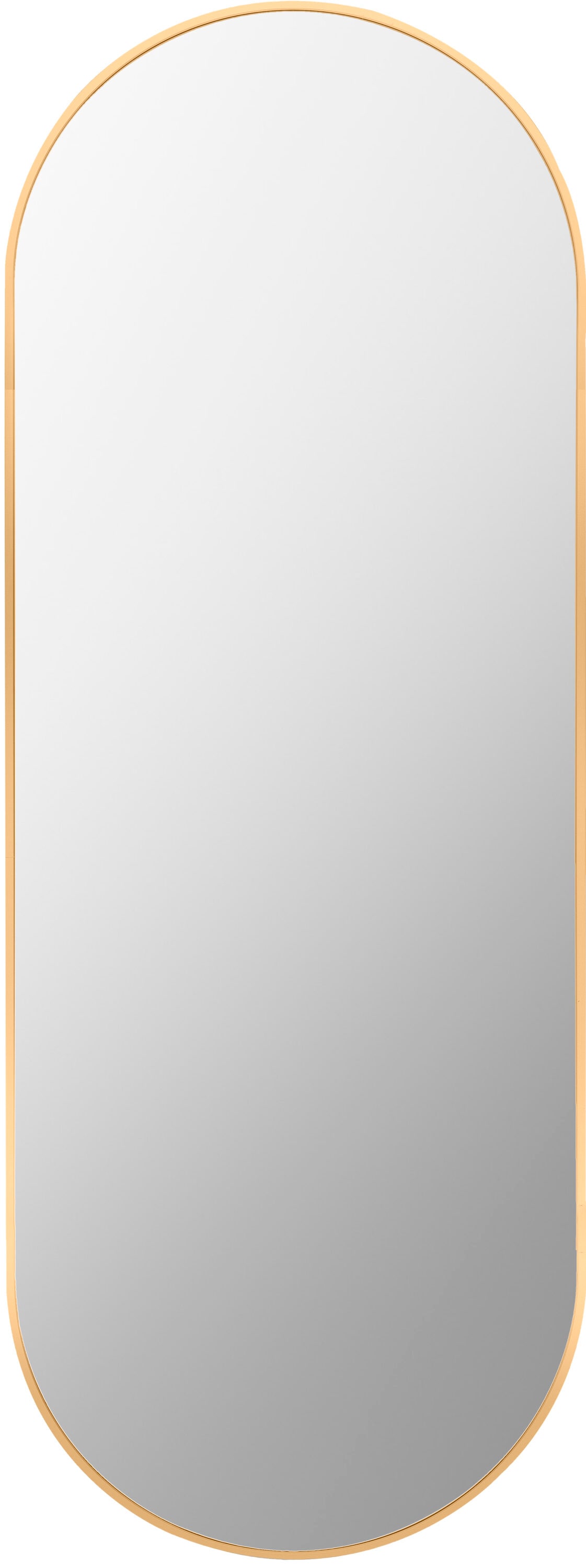 Livabliss RAY020-2265 Aranya 22-in W x 65.0-in H Oval Gold Framed Wall Mirror