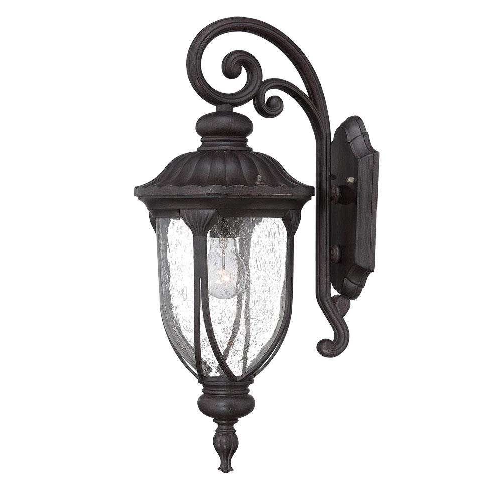 Acclaim Lighting 2212BC Laurens 1 -Light 22.5-in H Black Hardwired Outdoor Wall Light