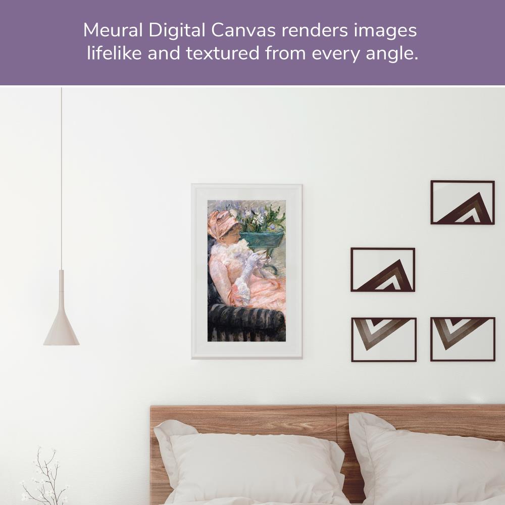 NETGEAR MC227WL-100PAS Picture-Frames - View #3